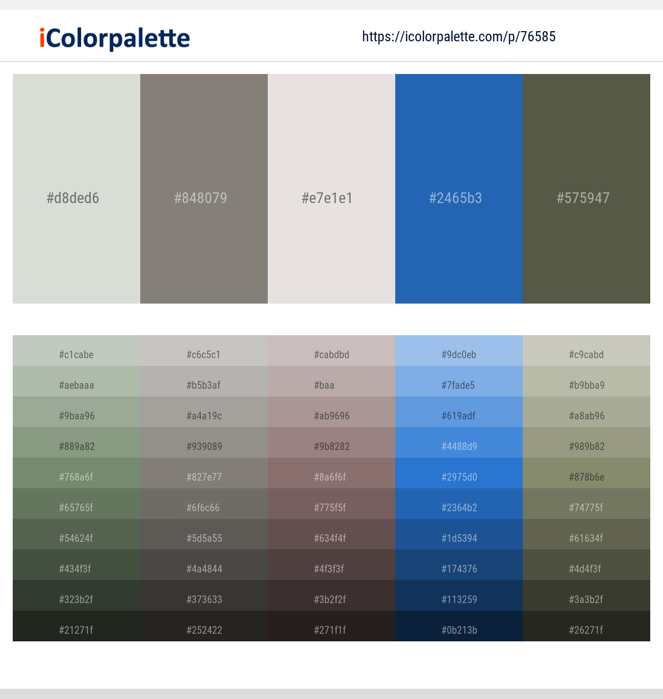 Tasman – Friar Gray – Ebb – Cerulean Blue – Finch Color scheme