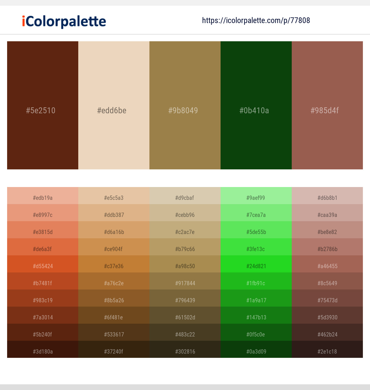 Redwood – Almond – Driftwood – Dark Fern – Copper Rust Color scheme