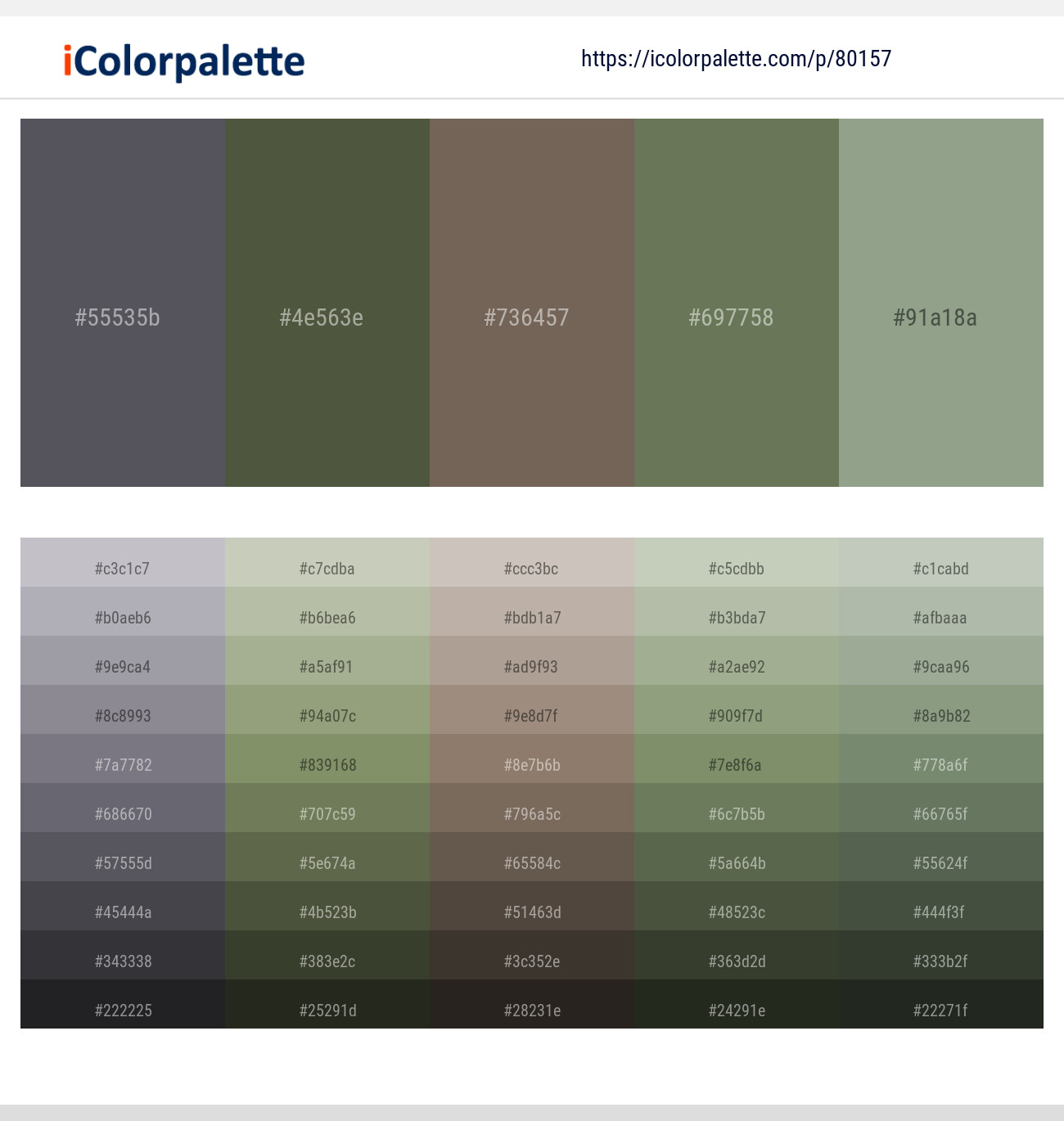 80157 Color Palette 