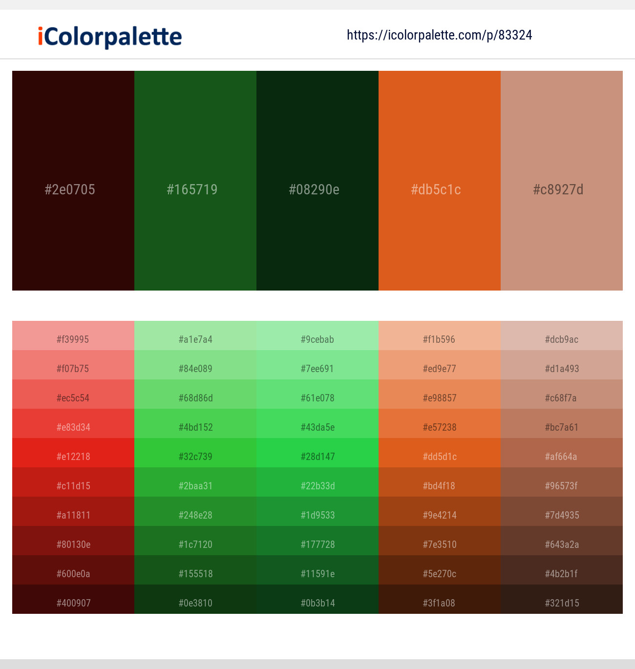 Rebel – Parsley – Palm Green – Hot Cinnamon – Old Rose Color scheme