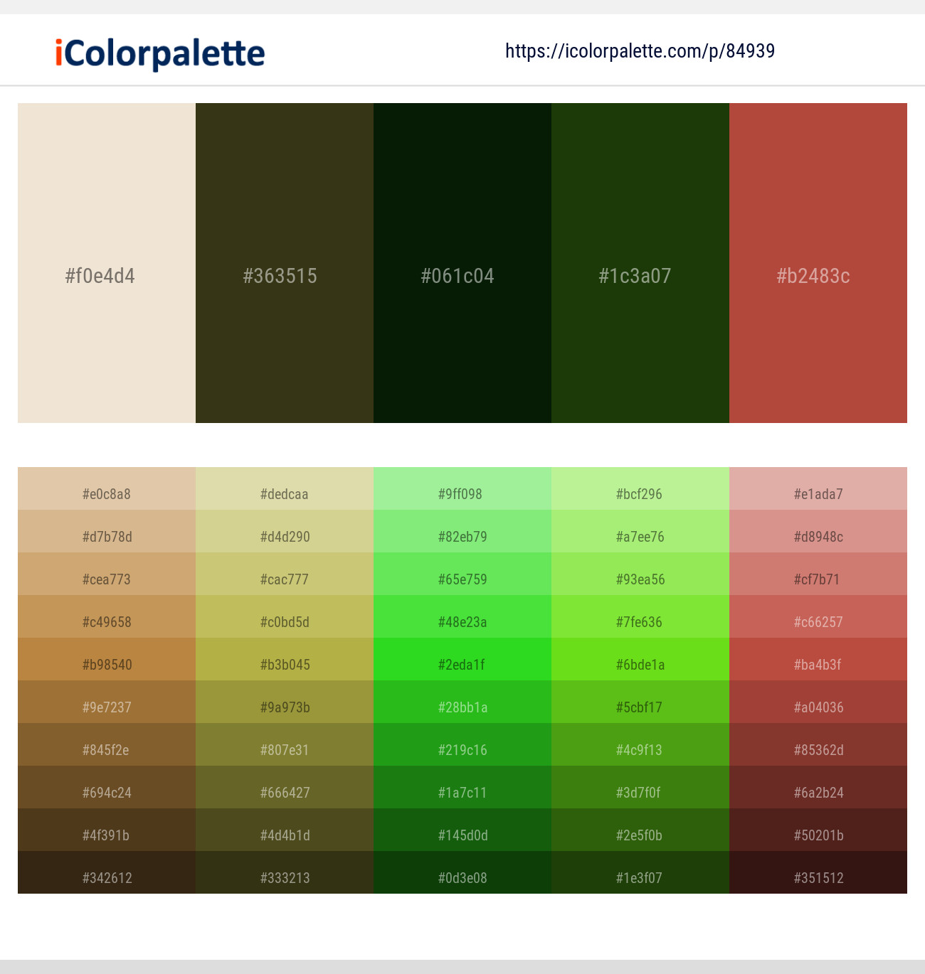 Parchment – Thatch Green – Pine Tree – Pine Tree – Crail Color scheme