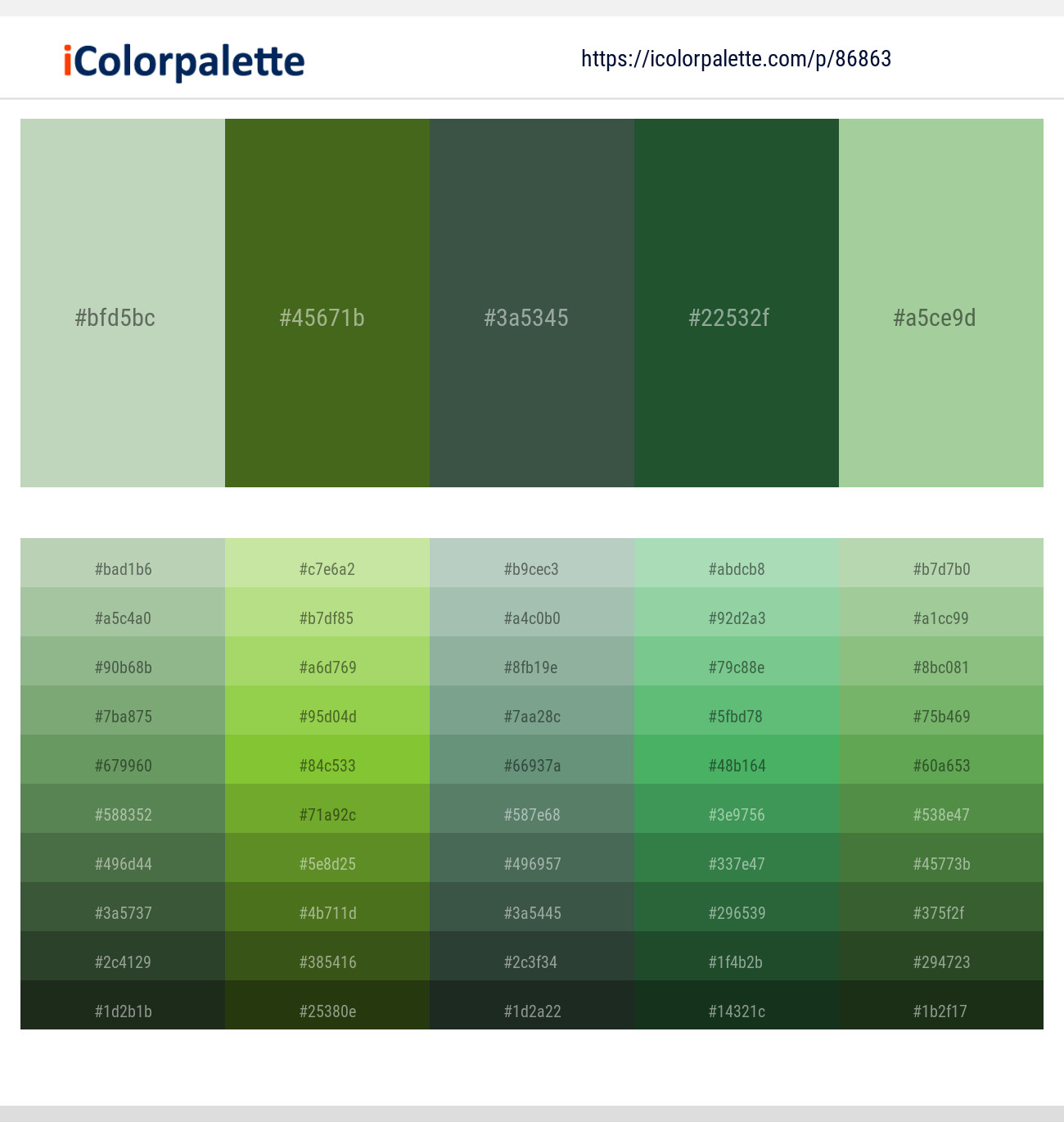 Pale Leaf – Dell – Mineral Green – Everglade – Sprout Color scheme