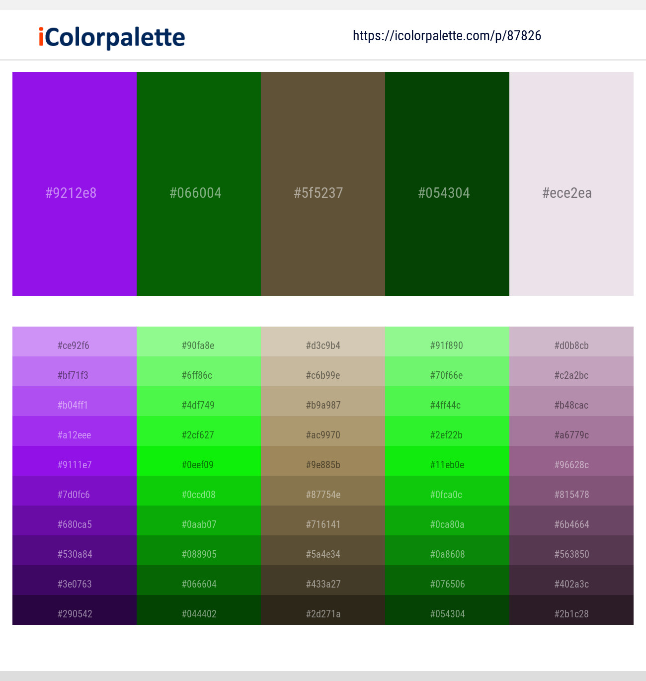 Electric Violet – Japanese Laurel – Millbrook – San Felix – Lola Color scheme
