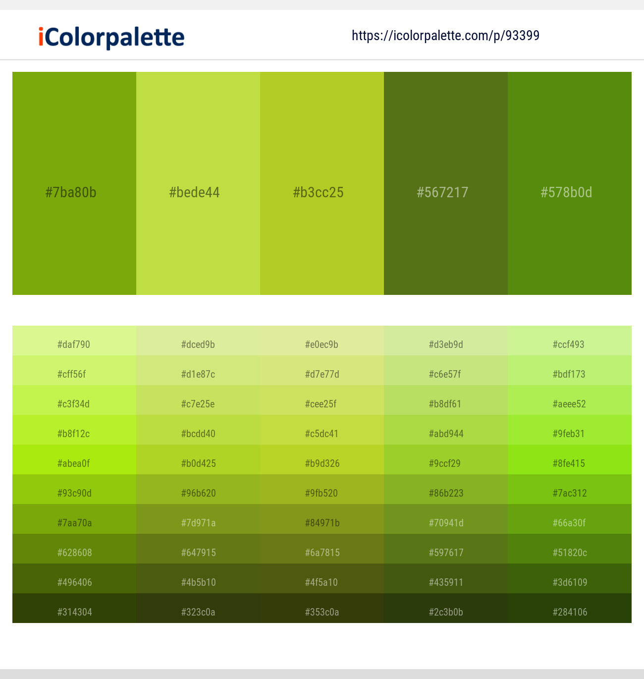 Christi – Conifer – Key Lime Pie – Saratoga – Christi Color scheme