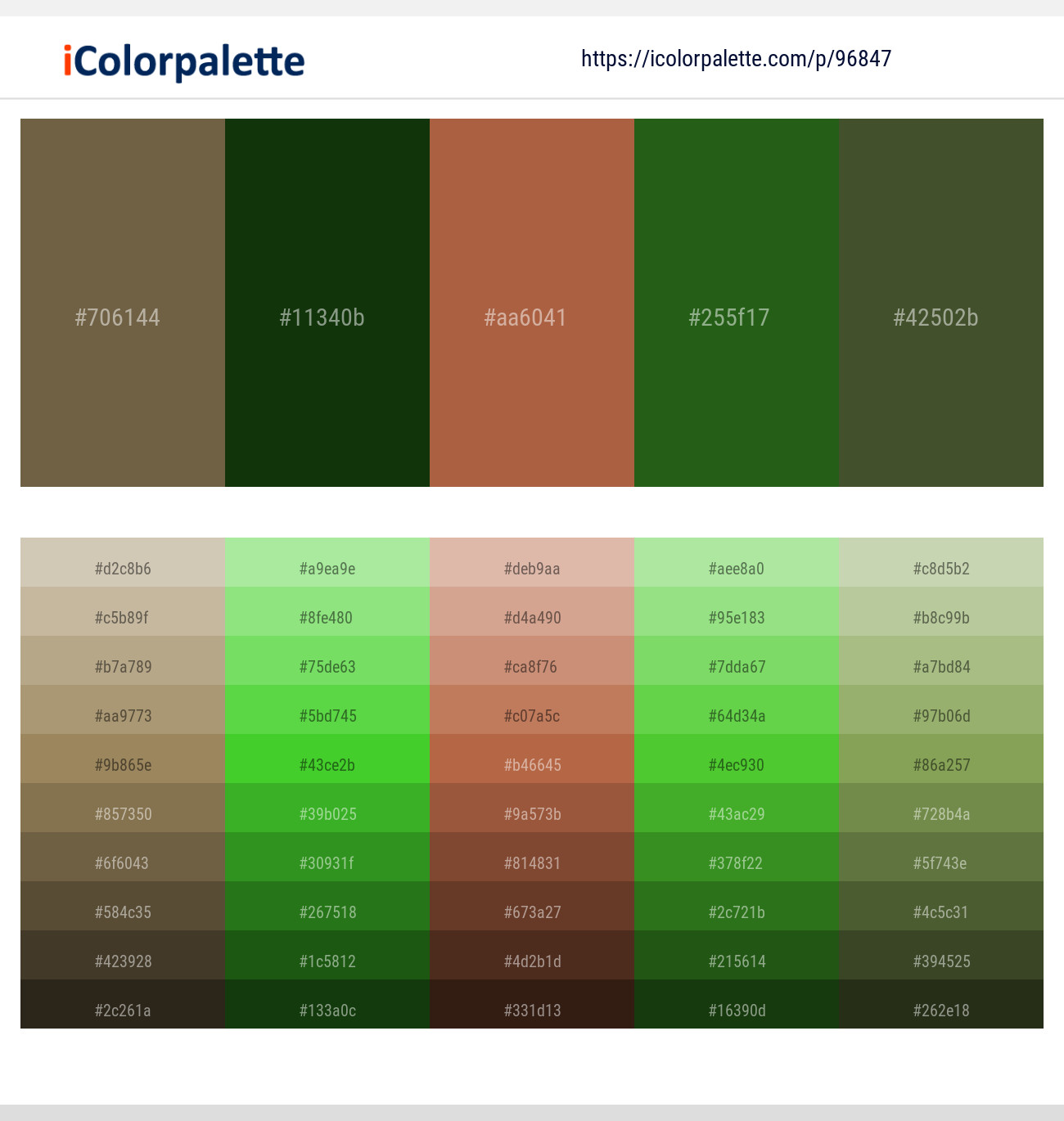 Root 9 to Forest Green Color Palette