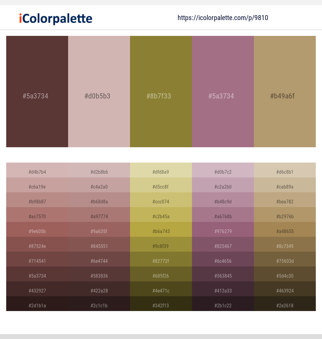 Congo Brown – Clam Shell – Sycamore – Strikemaster – Teak Color scheme