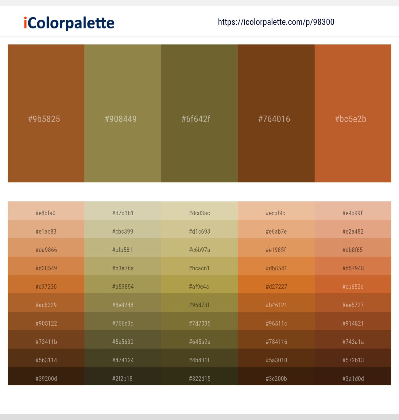 Paarl – Shadow – Pesto – Sepia – Tuscany Color scheme