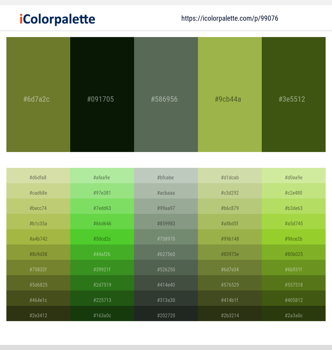 Crete – Black Forest – Finlandia – Olive Green – Clover Color scheme