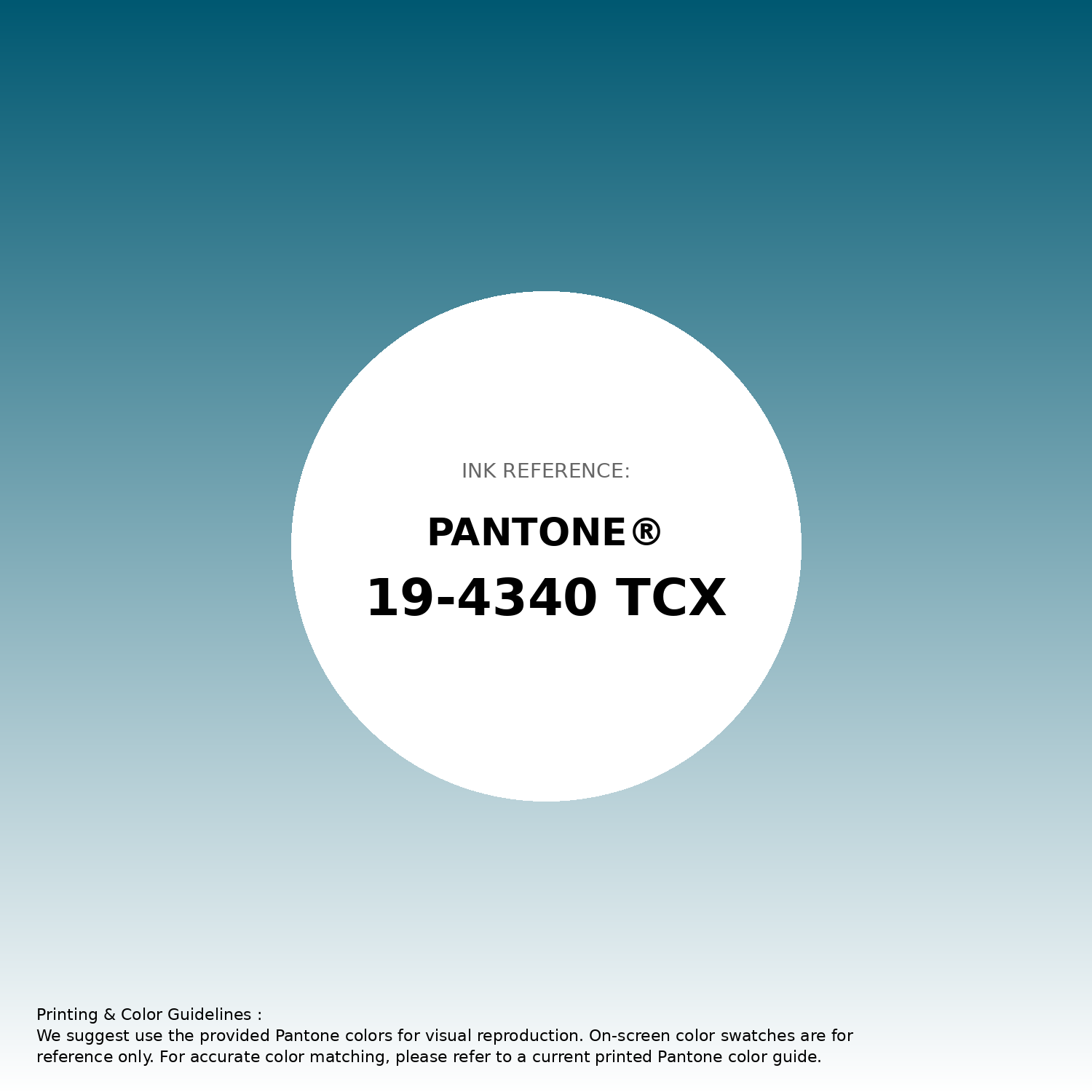 Hex Color #005871 — RGB, CMYK & HSL Color Values | iColorPalette
