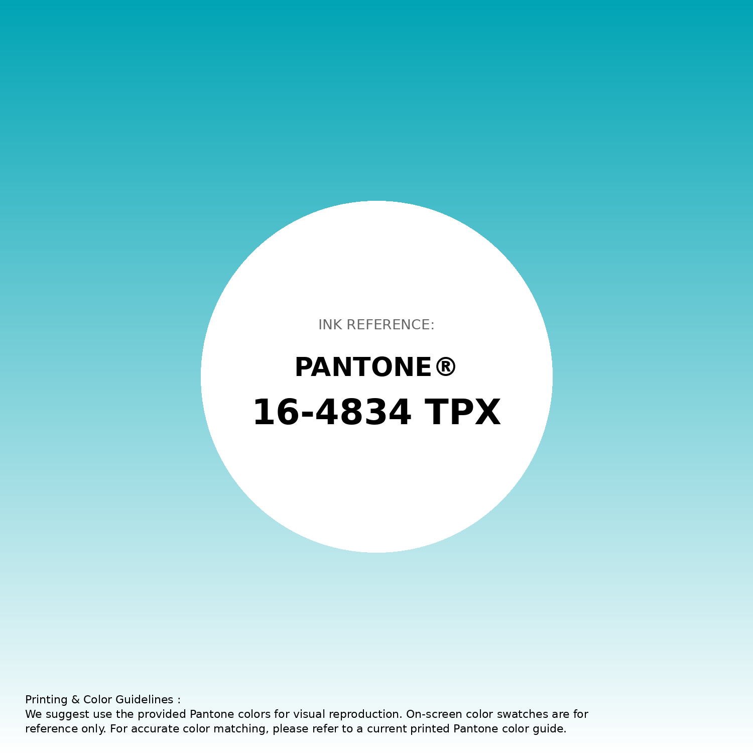 Hex Color #00a4b5 | Printing Match PANTONE 16-4834 TPX | Color