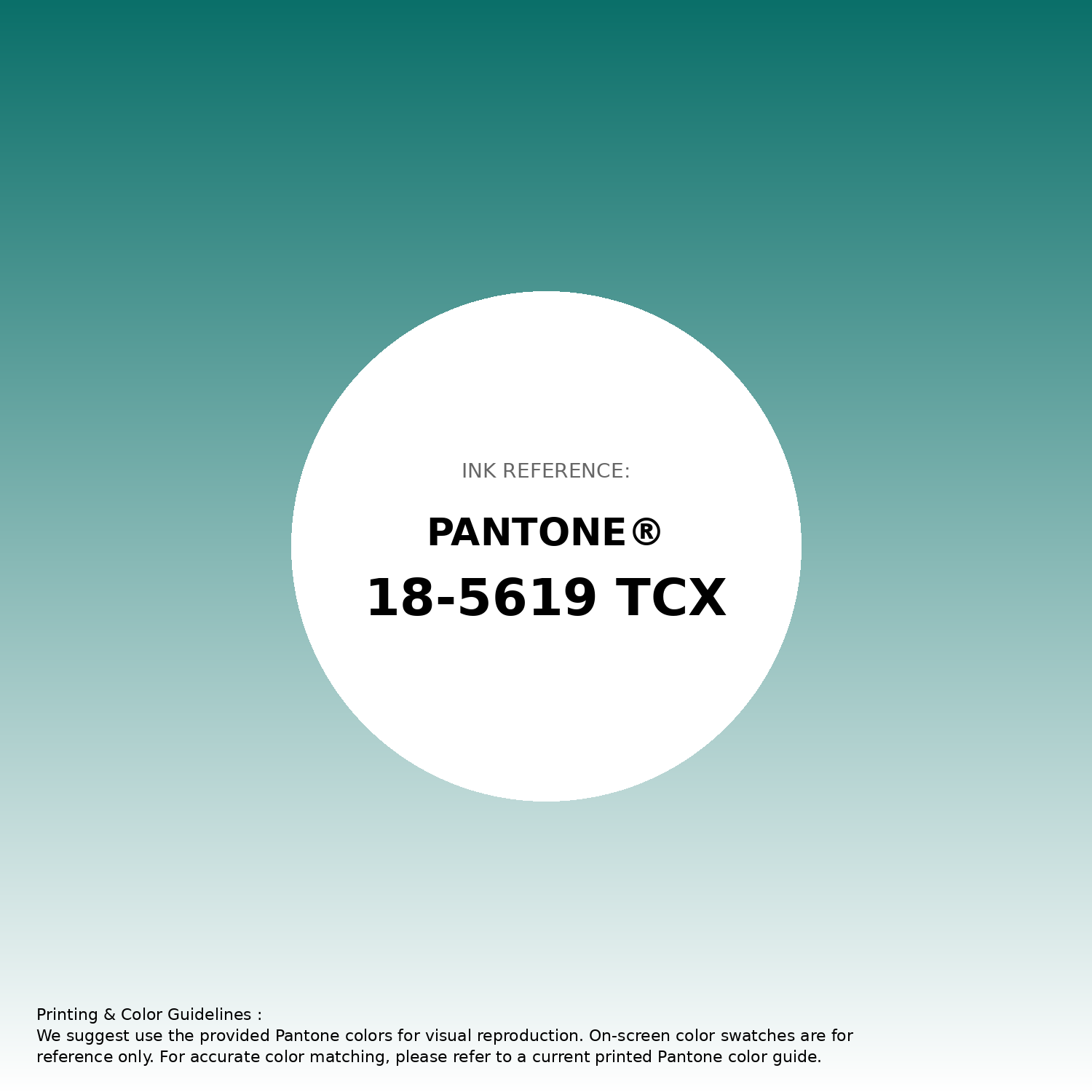 Hex Color #0a6f69 | Printing Match PANTONE 18-5619 TCX | Color