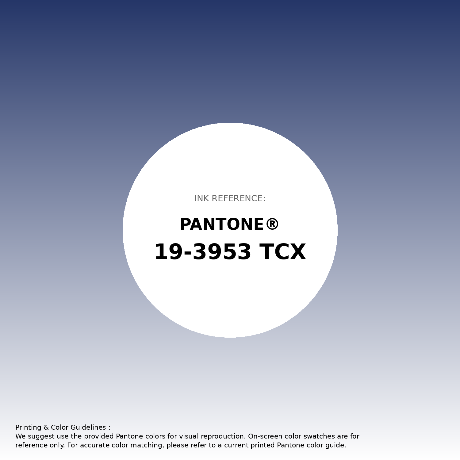 Hex Color #253668 | Printing Match PANTONE 19-3953 TCX | Color