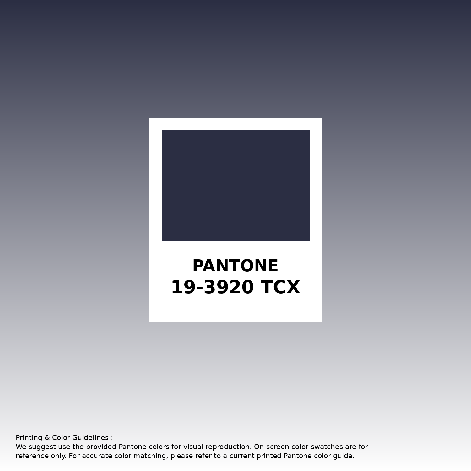 t★S★t Hex Color #2b2e43 information | Hsl | Rgb | Pantone