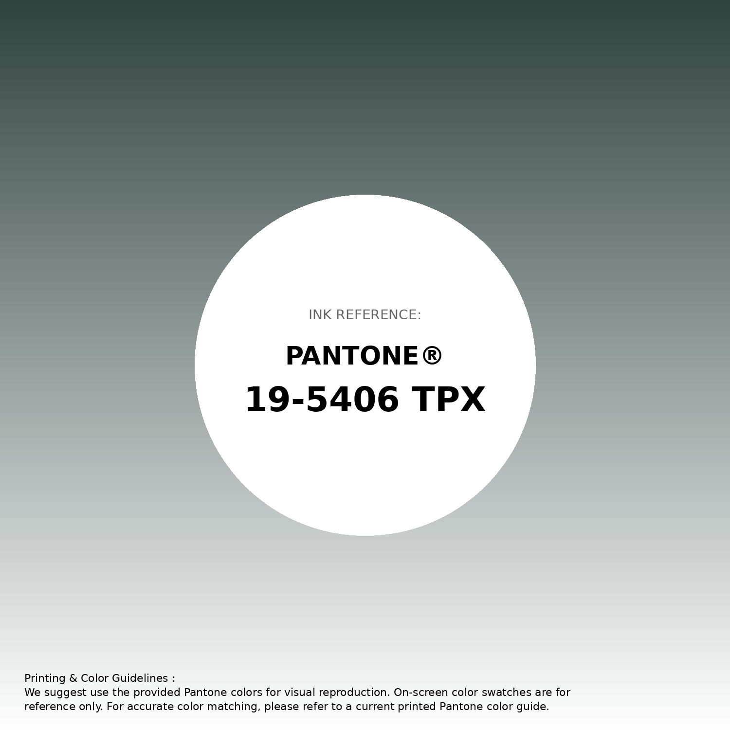 Stunning gradient artwork featuring Pantone 19-5406 Tpx Pine Grove Color | Hex color Code #2f423e. Beautiful color transitions perfect for modern designs and backgrounds. #gradient #colorart #design #2f423e