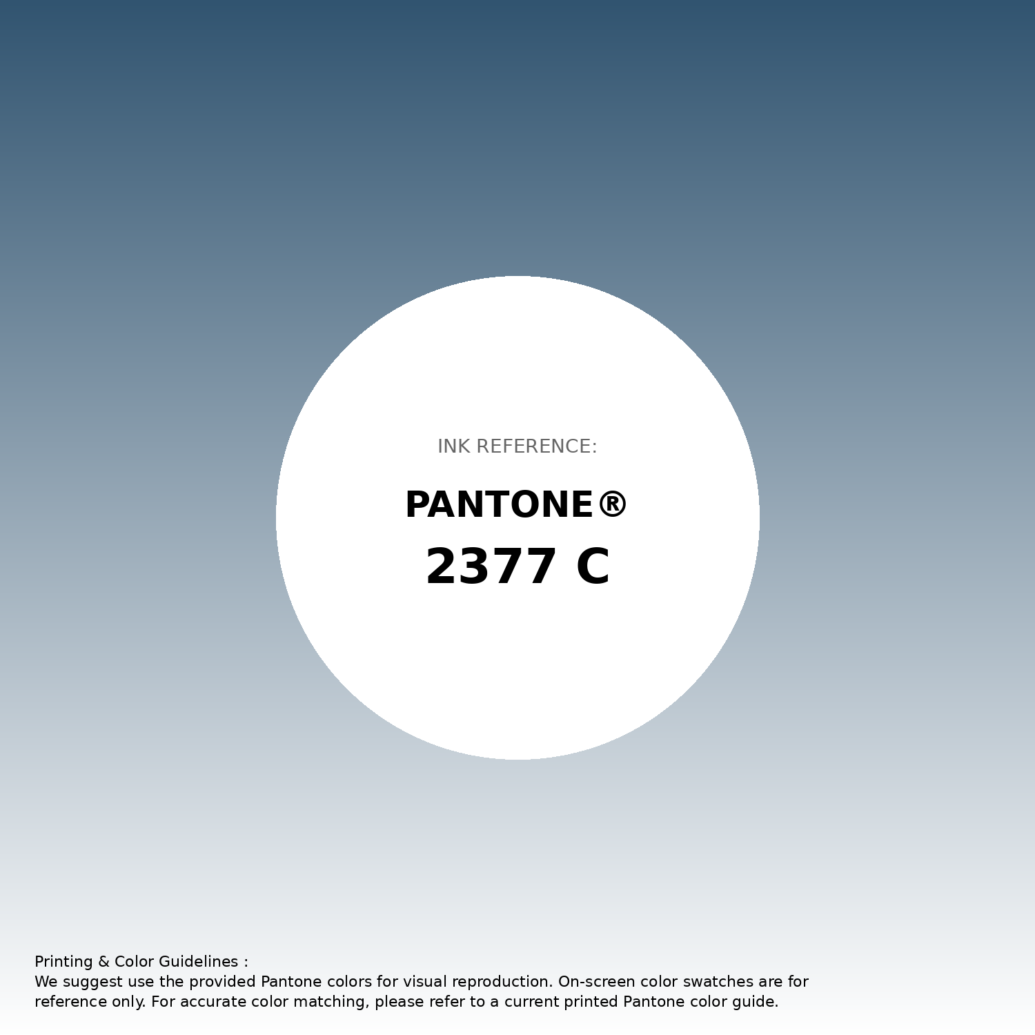 Hex Color #315470 | Printing Match PANTONE 2377 C | Color
