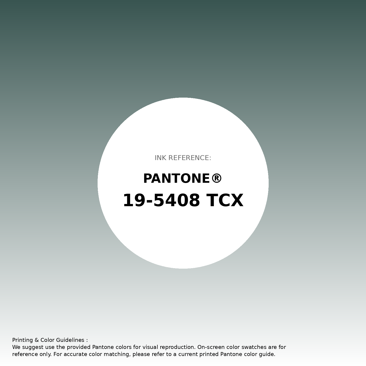 Hex Color #395551 | Printing Match PANTONE 19-5408 TCX | Color