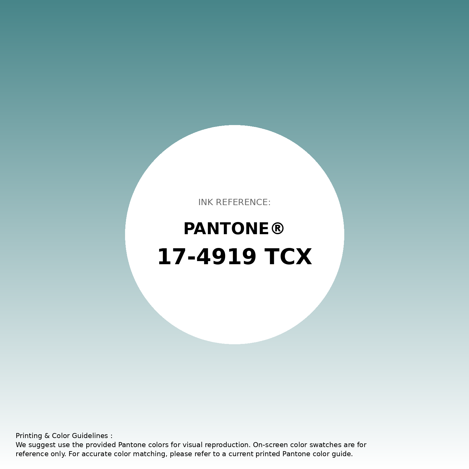 Hex Color #478589 | Printing Match PANTONE 17-4919 TCX | Color