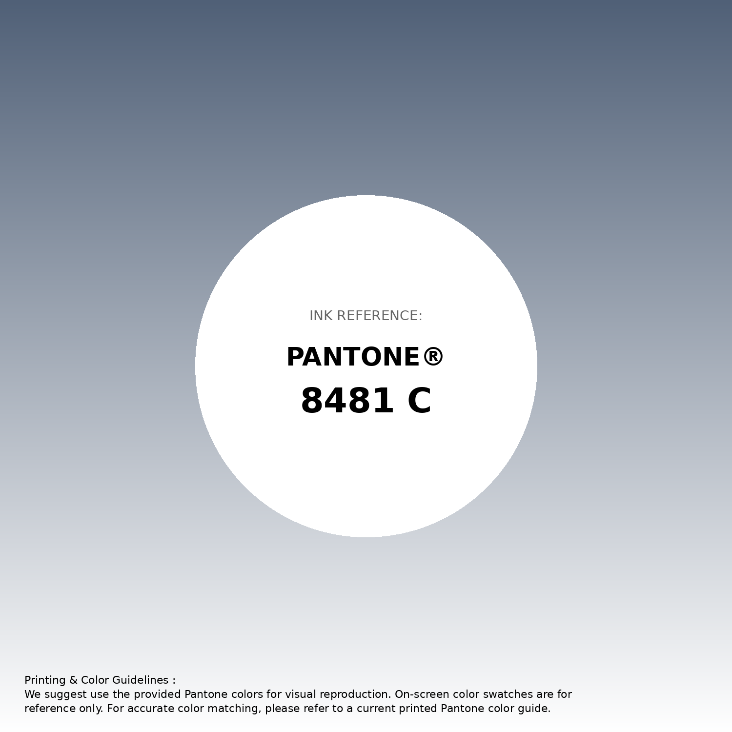 Hex Color #506077 | Printing Match PANTONE 8481 C | Color