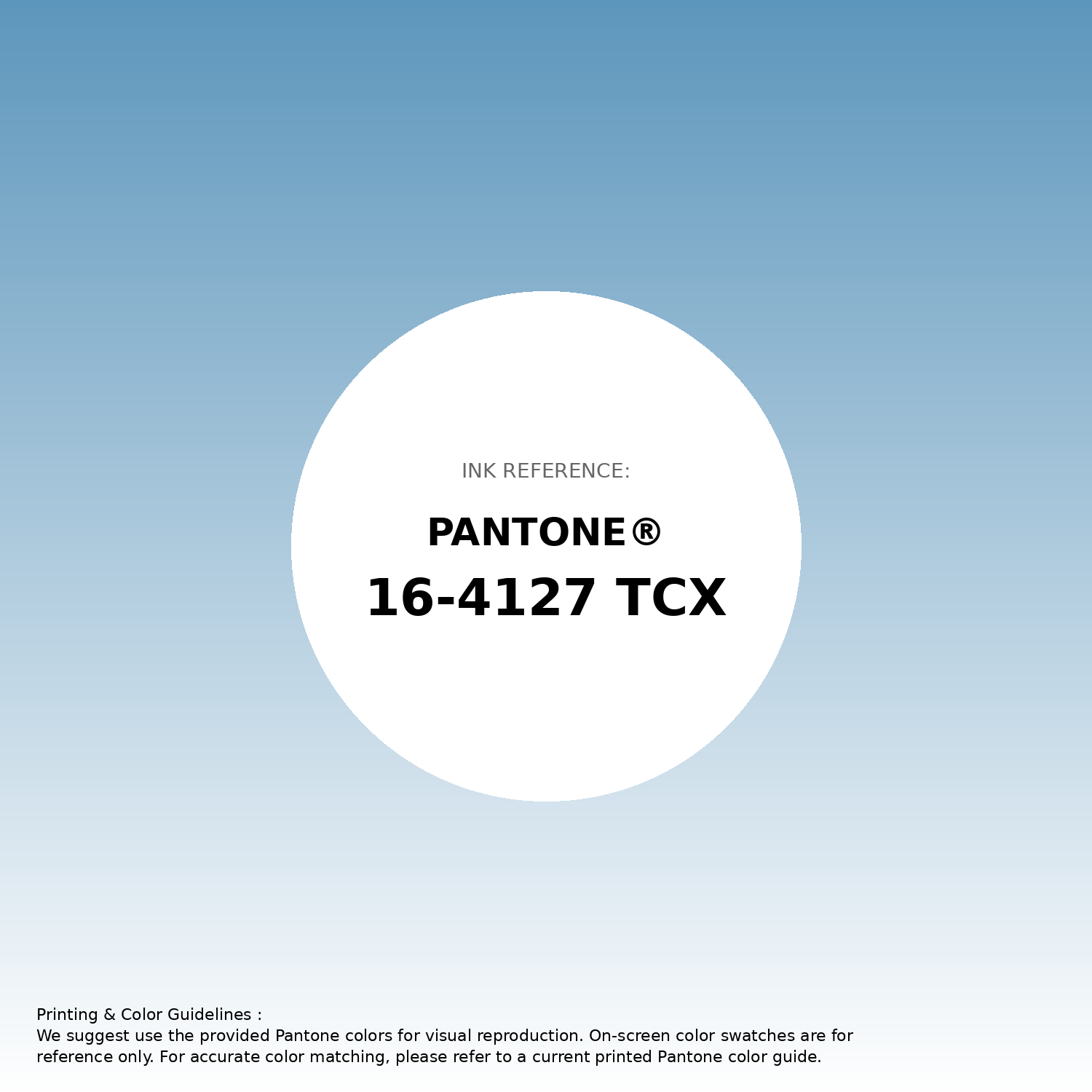 Hex Color #5d96bc | Printing Match PANTONE 16-4127 TCX | Color
