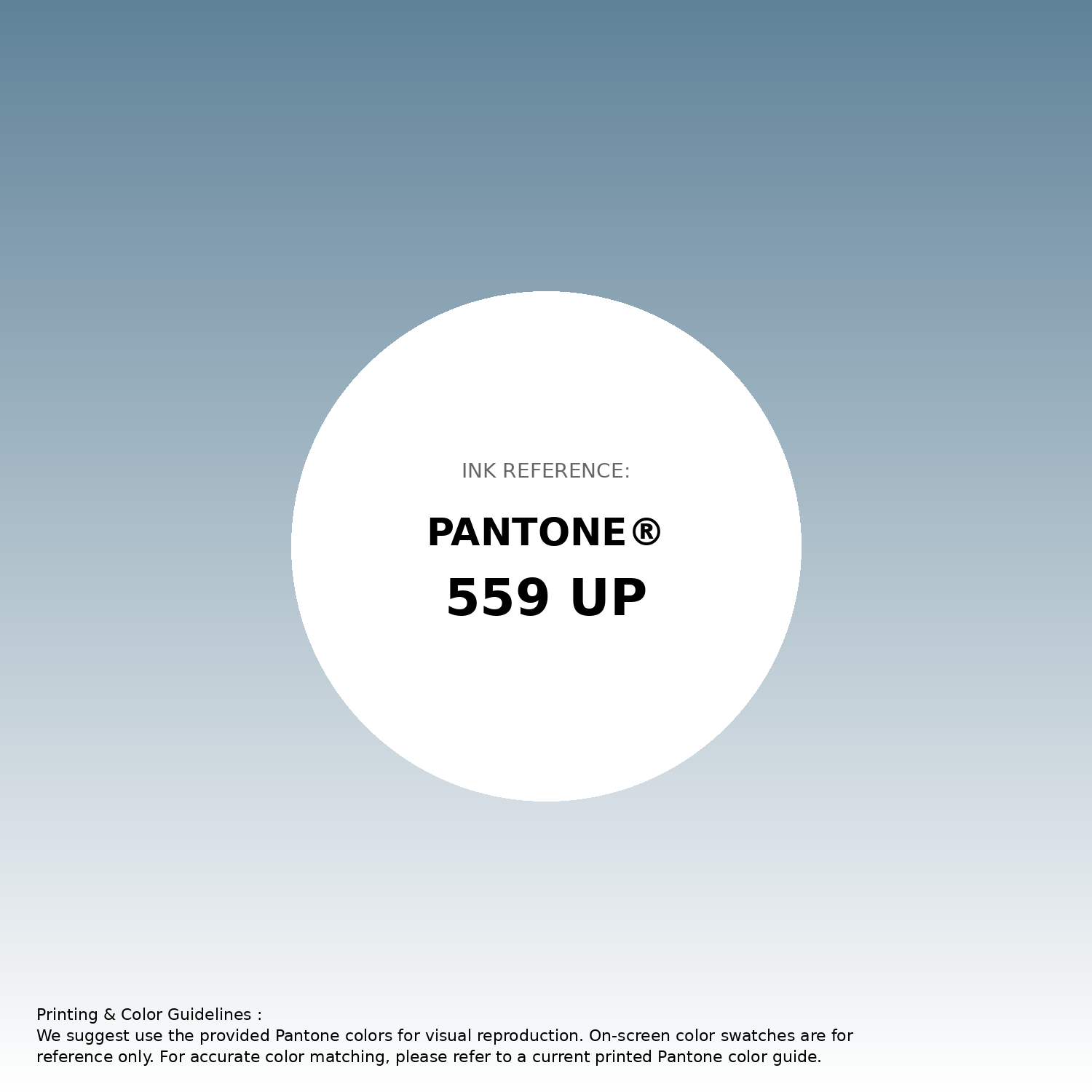 Color Analysis Color:red #5F8298 Hex Code (Blowout Shade) — RGB, CMYK & HSL Color Values ...
