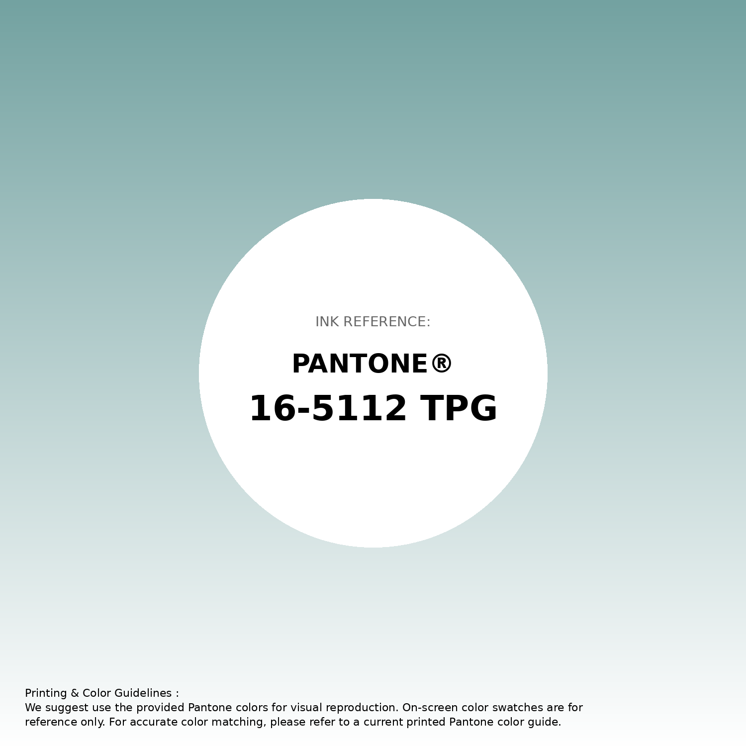 Hex Color #73a2a1 | Printing Match PANTONE 16-5112 TPG | Color ...