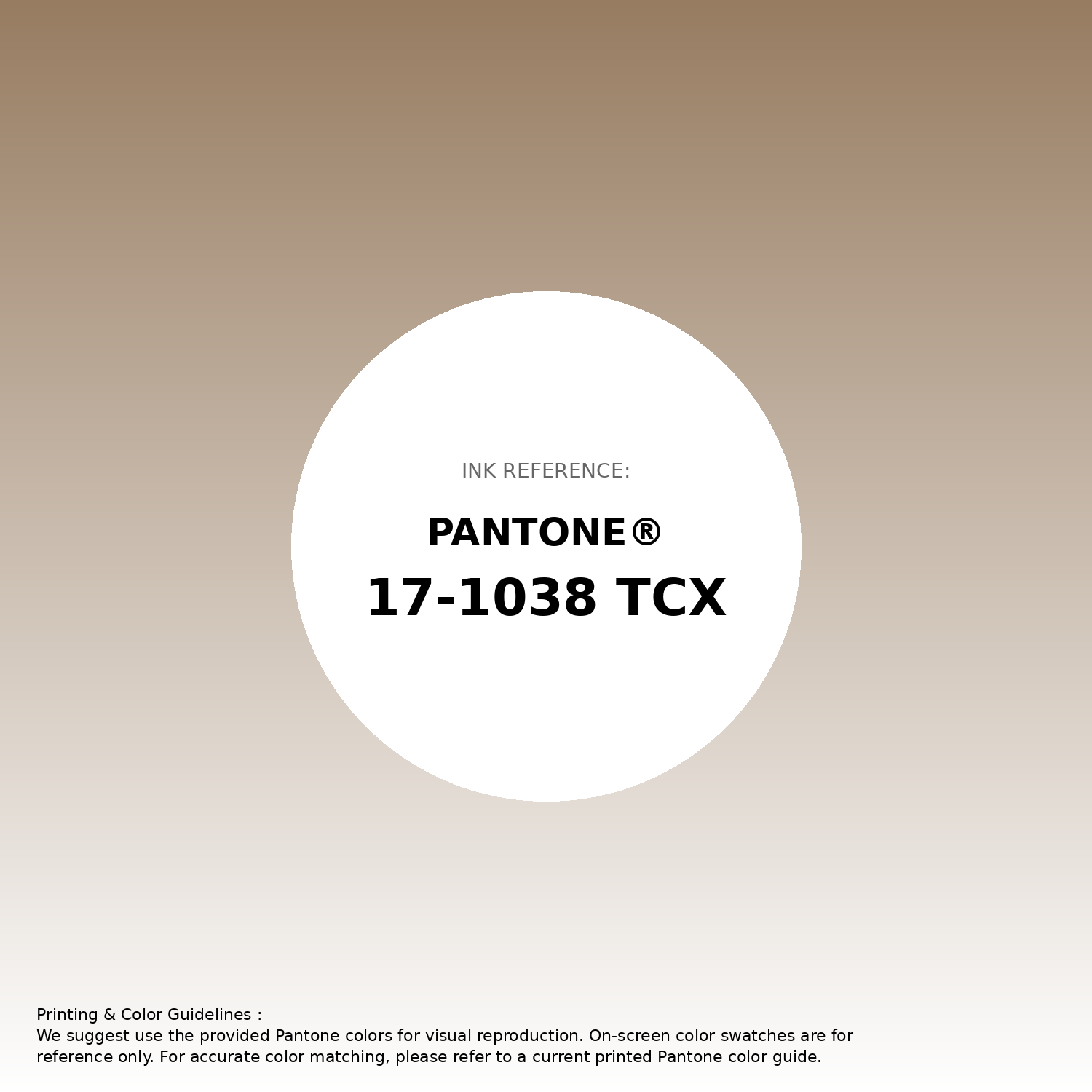 Hex Color #977c61 | Pantone PANTONE 17-1038 TCX | Hsl | Rgb
