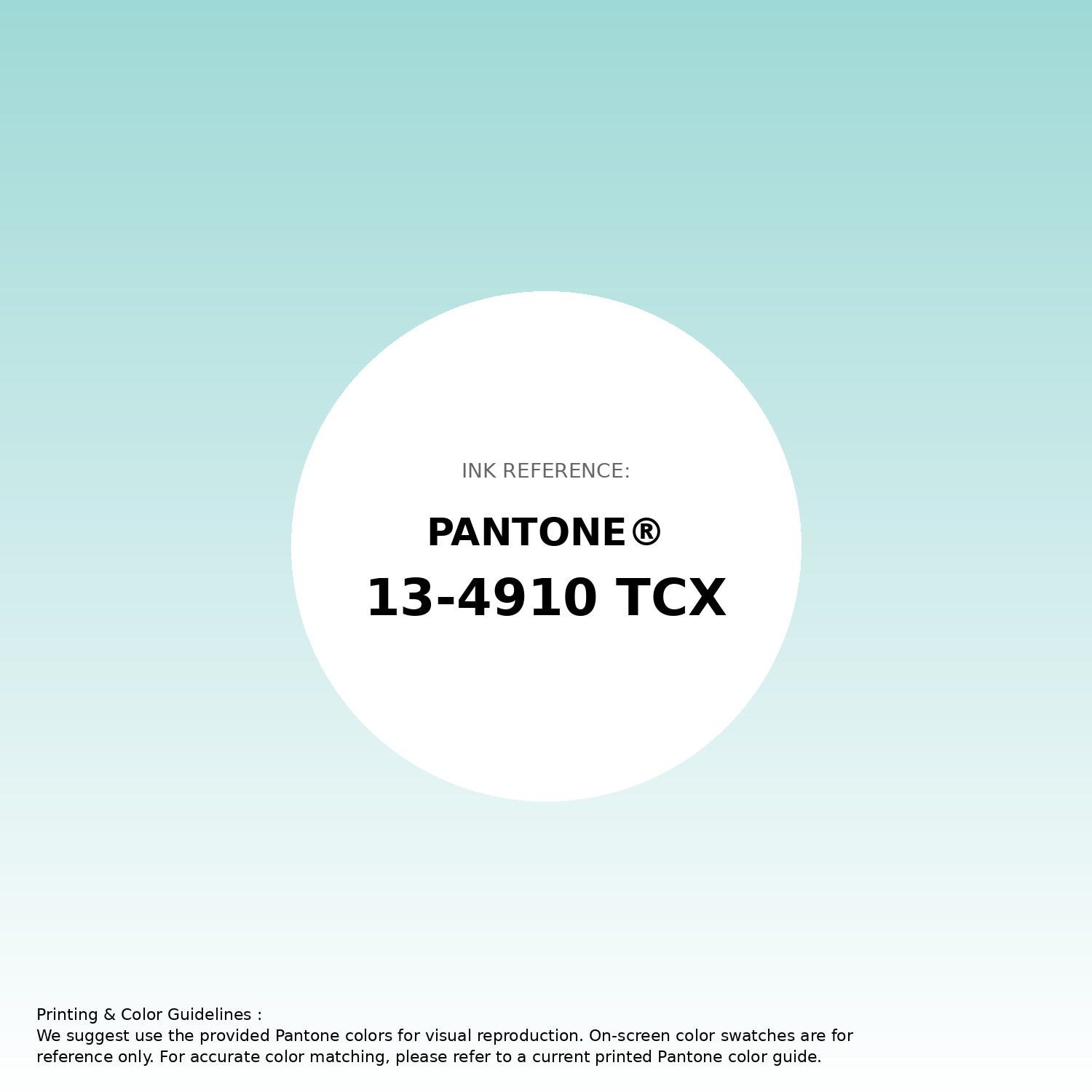Hex Color #9fd9d7 | Printing Match PANTONE 13-4910 TCX | Color