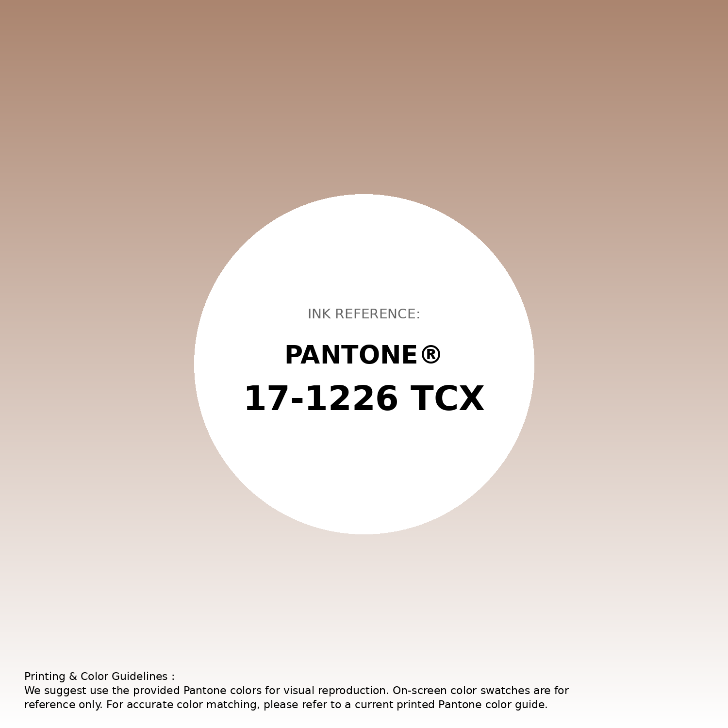 Hex Color #ab856f | Printing Match PANTONE 17-1226 TCX | Color