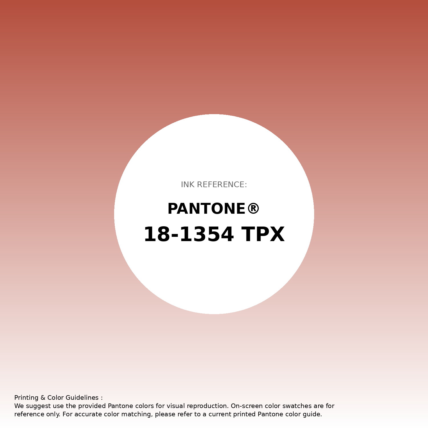 Hex Color #b44e3d | Printing Match PANTONE 18-1354 TPX | Color