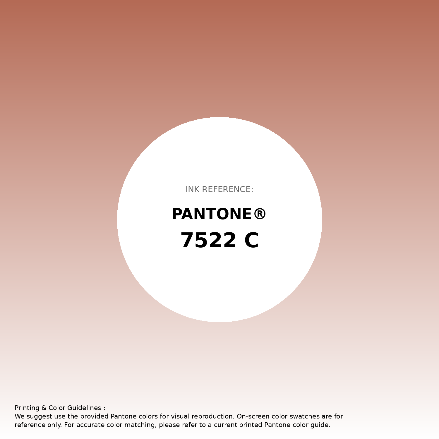 Hex Color #b46a55 | Printing Match PANTONE 7522 C | Color