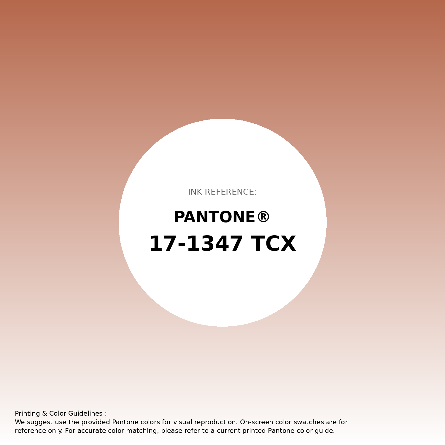 Hex Color #b5684c | Printing Match PANTONE 17-1347 TCX | Color