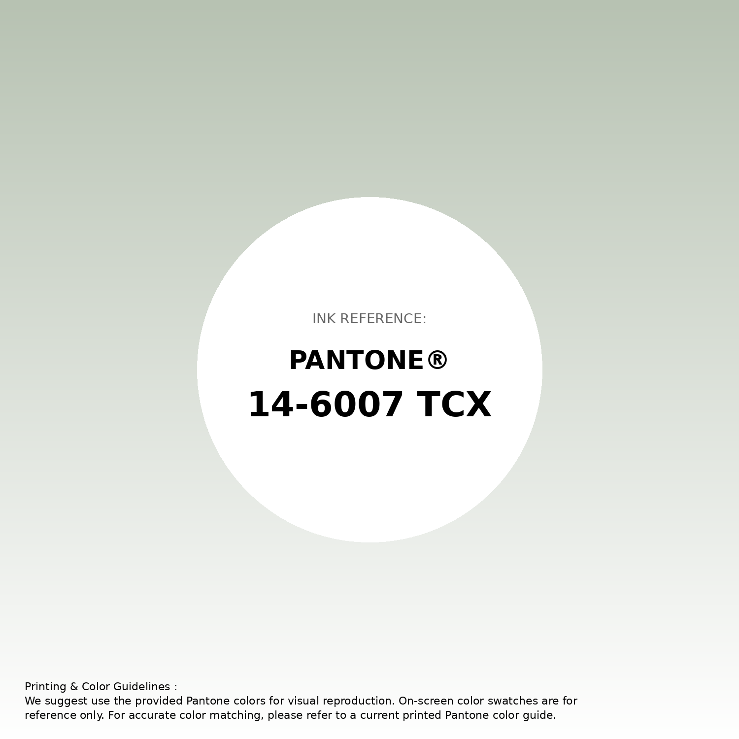 Ngs≠Ngr Hex Color #b7c2b2 | Printing Match PANTONE 14-6007 TCX | Color
