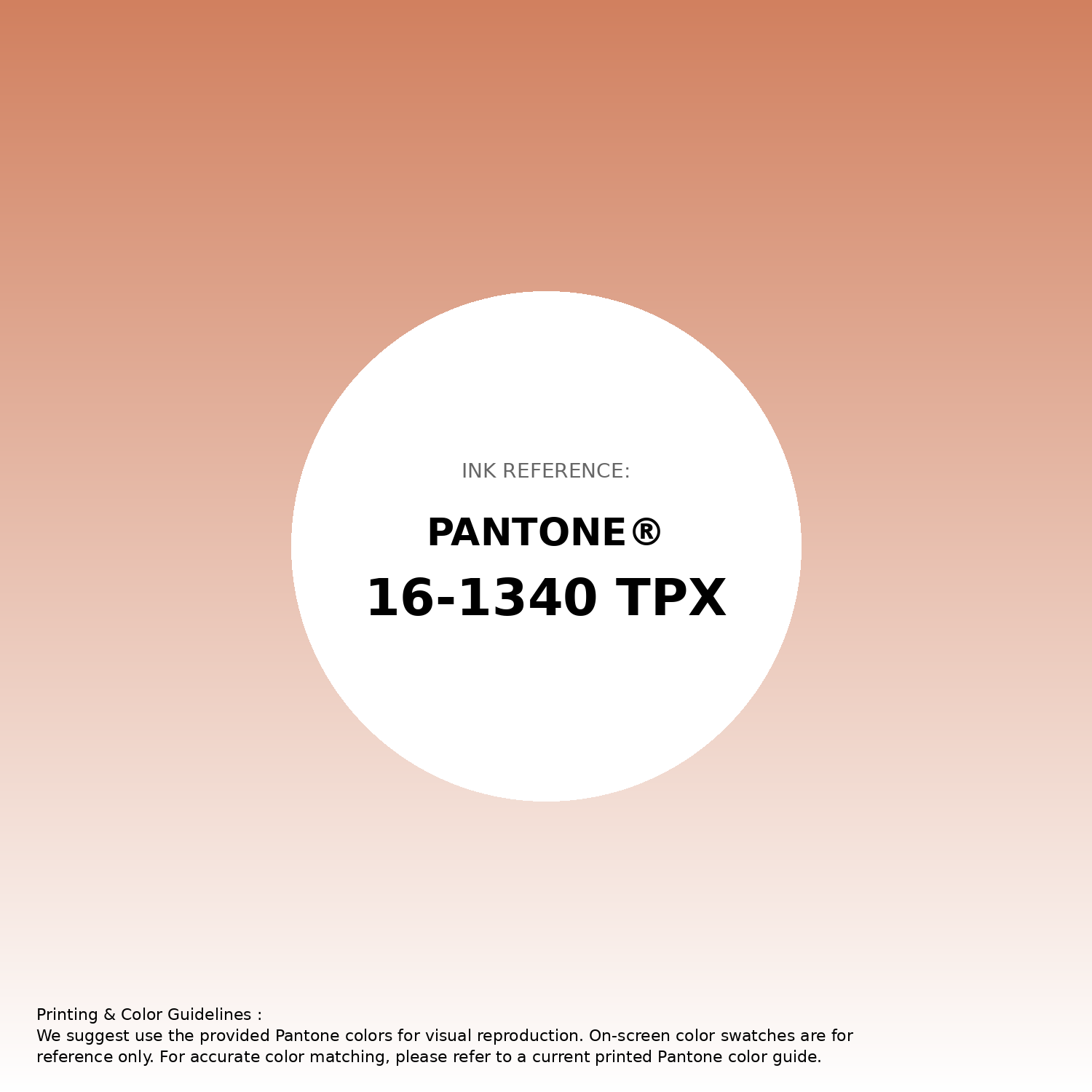 Hex Color #d1805f | Printing Match PANTONE 16-1340 TPX | Color
