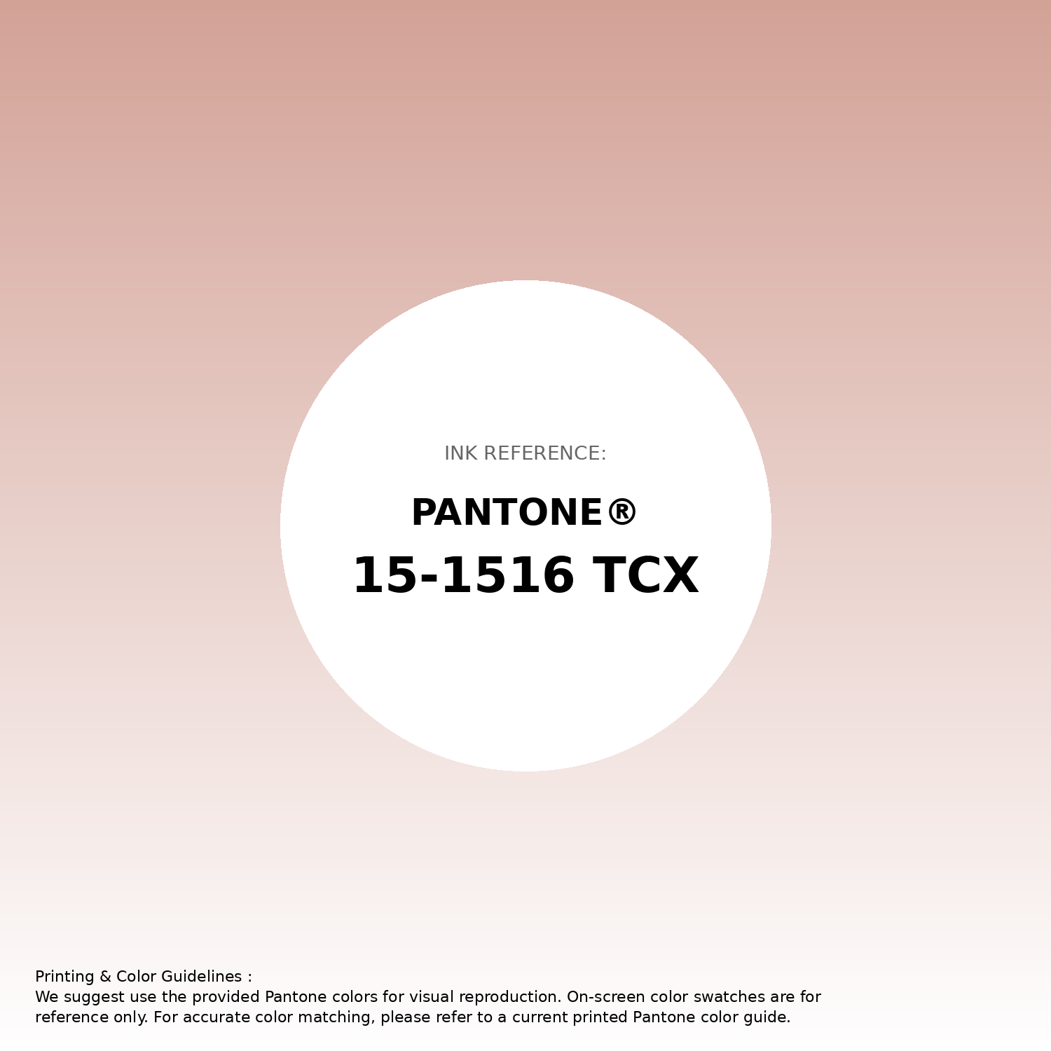 Hex Color #d3a297 | Printing Match PANTONE 15-1516 TCX | Color