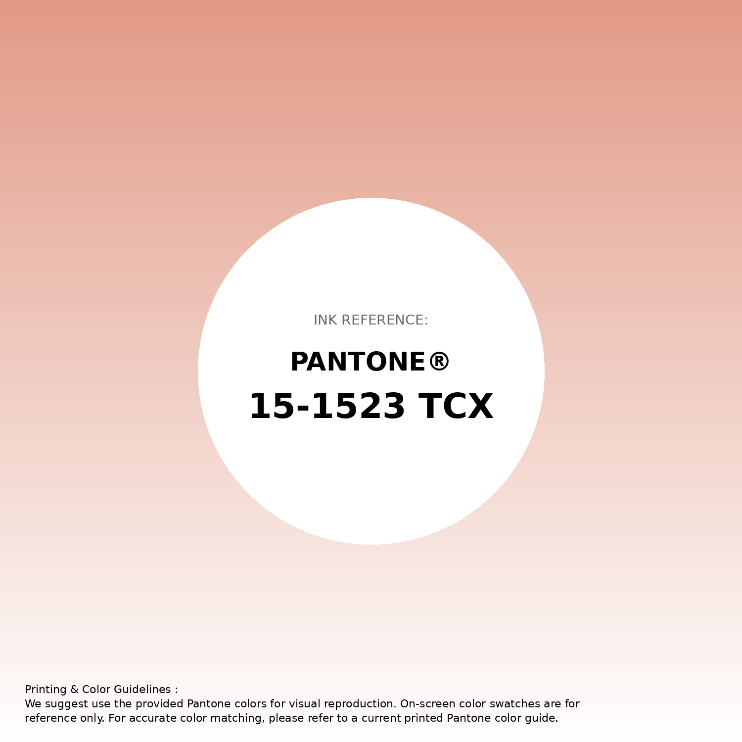 Hex Color #e29a86 | Pantone PANTONE 15-1523 TCX | Hsl | Rgb