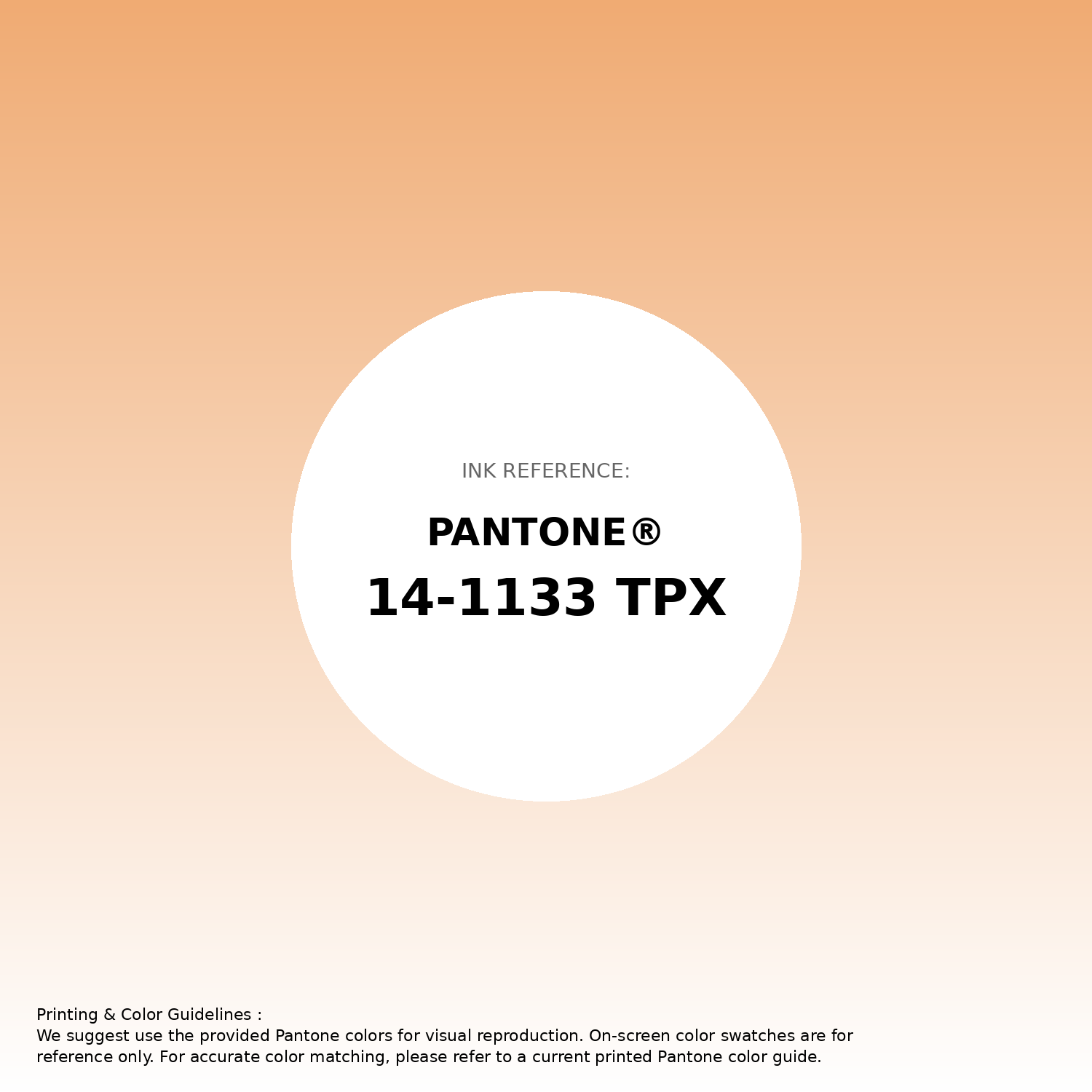 Hex Color #f0ab73 | Printing Match PANTONE 14-1133 TPX | Color