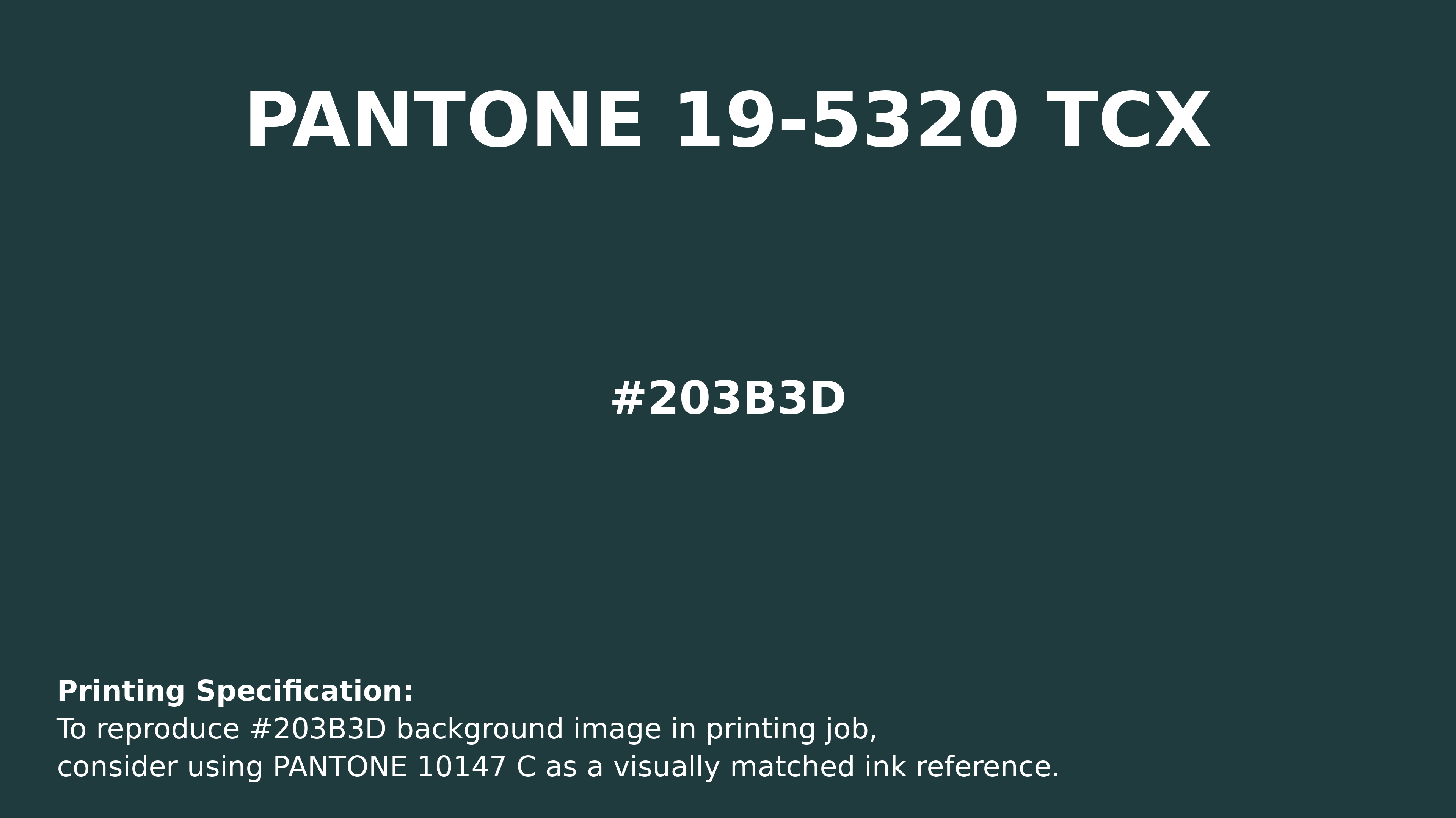 Hex Color #203b3d | Printing Match PANTONE 19-5320 TCX | Color