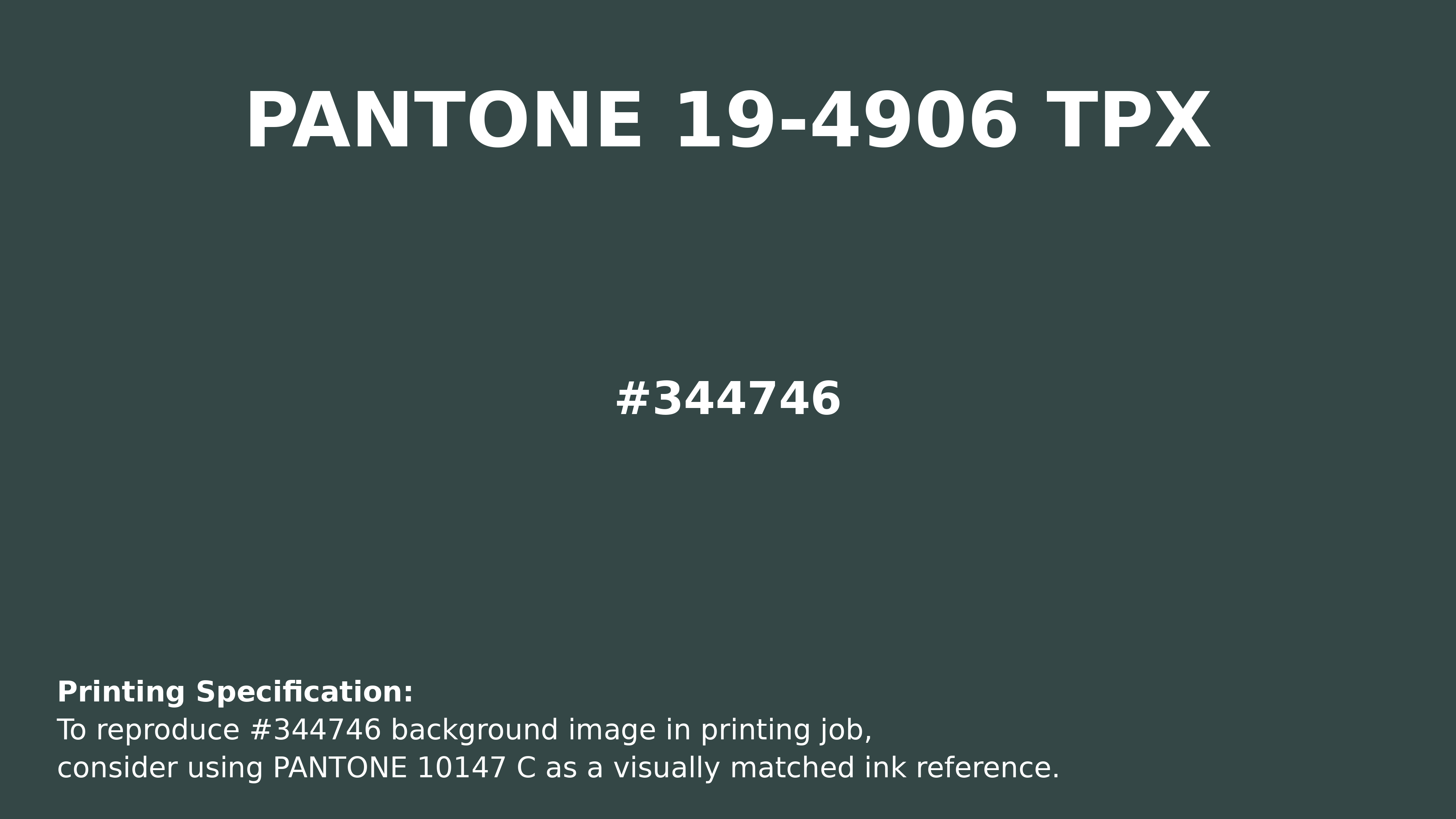 Hex Color #344746 | Printing Match PANTONE 19-4906 TPX | Color