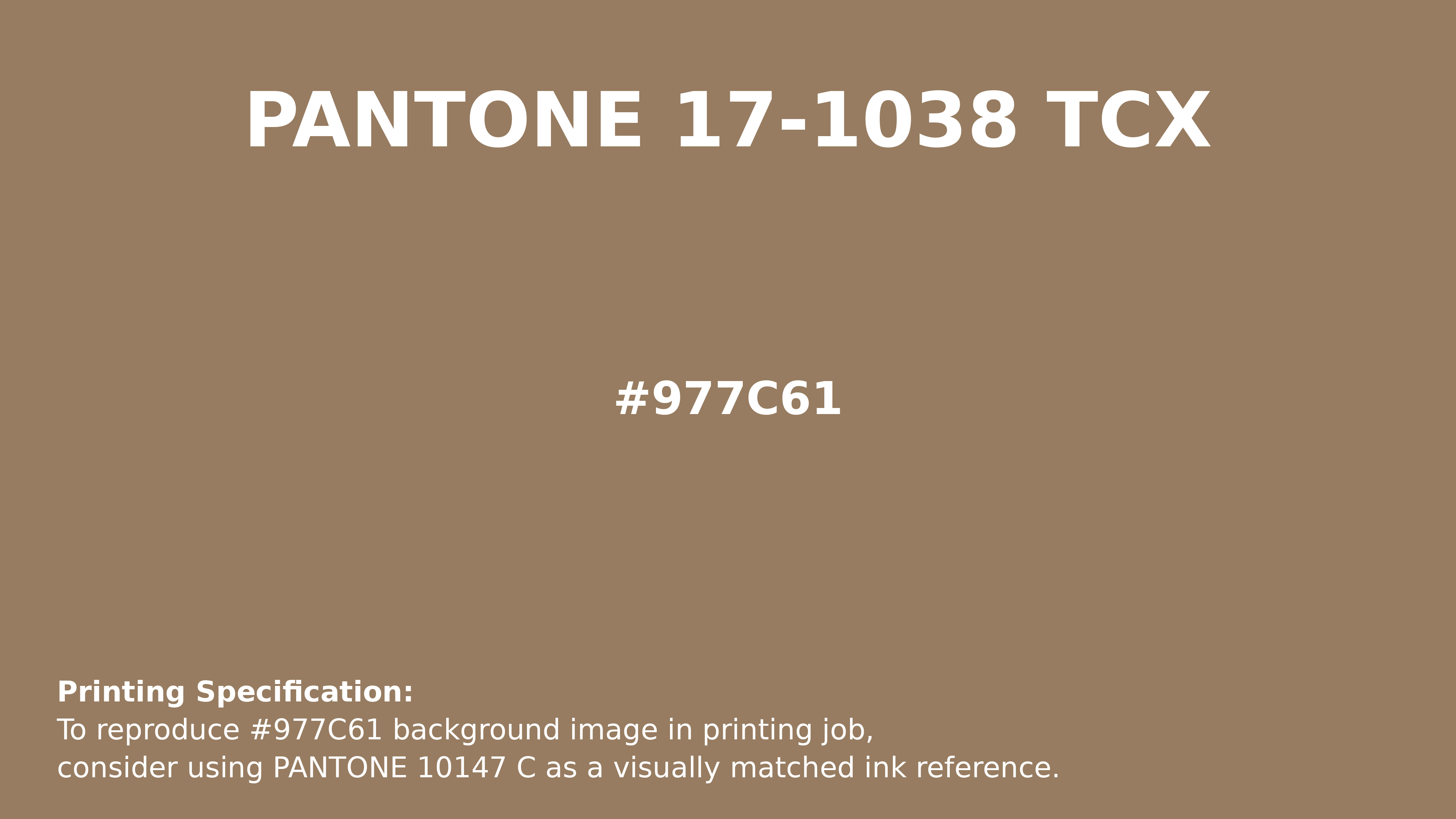 Hex Color #977c61 | Pantone PANTONE 17-1038 TCX | Hsl | Rgb