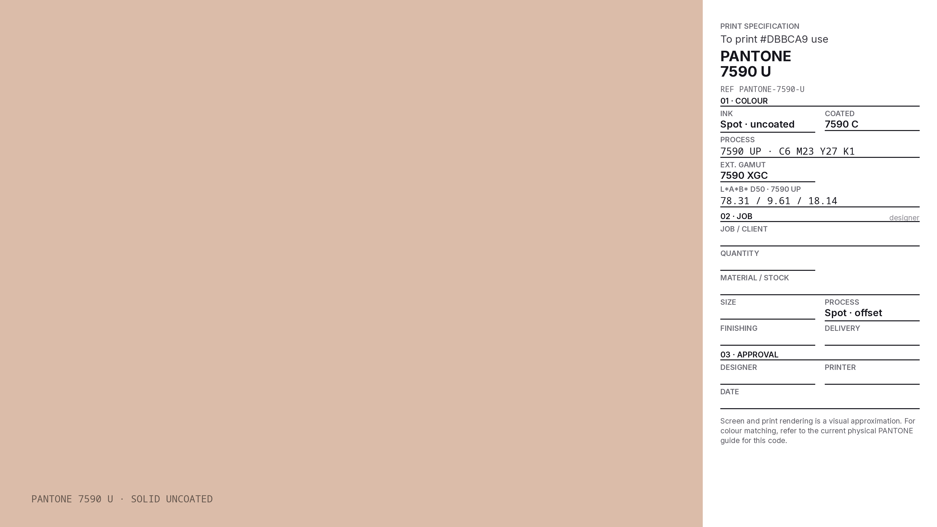 DBBCA9 Hex Code (Cinnamon Ice Shade) — RGB, CMYK & HSL Color
