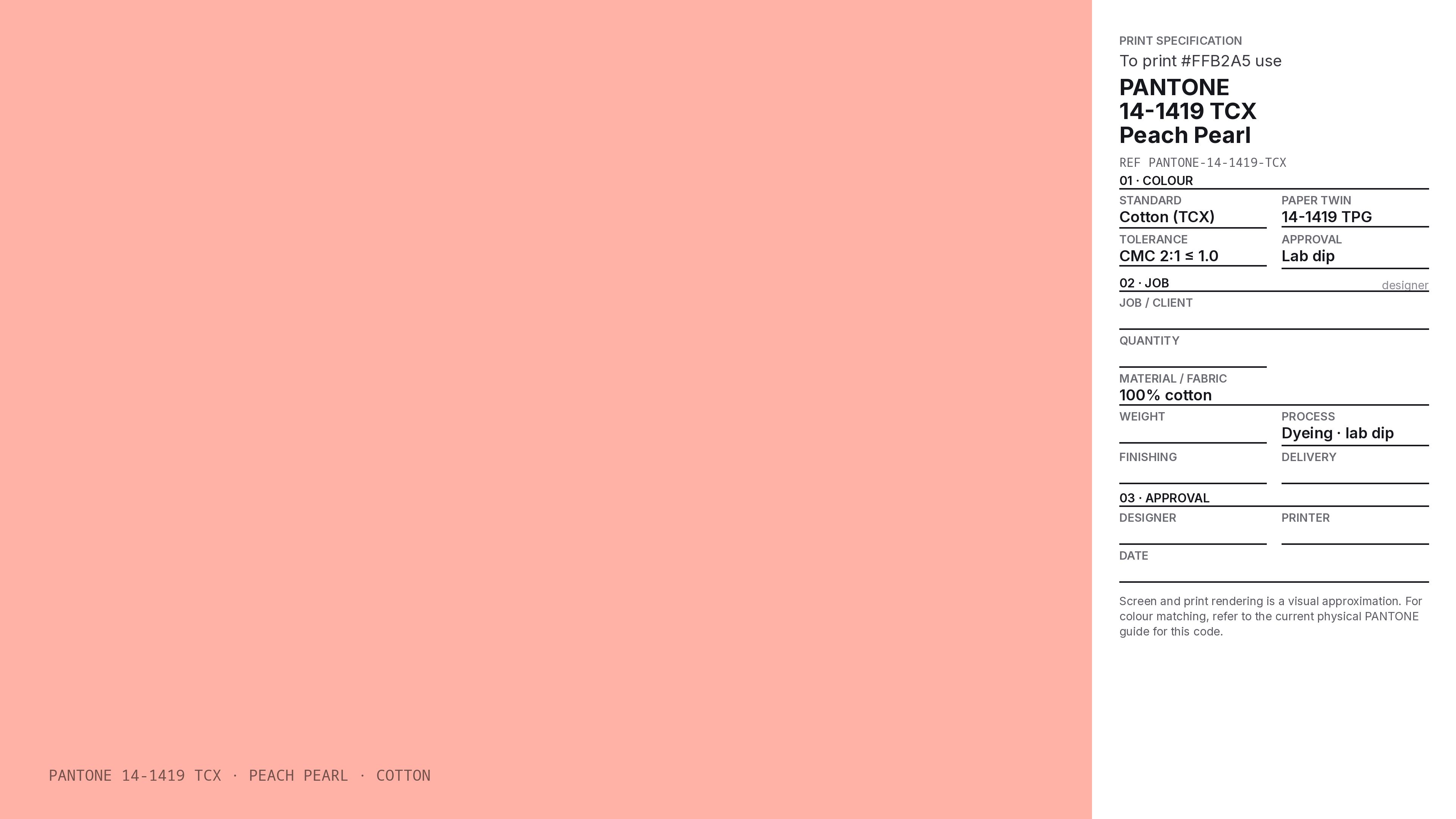 Peachさん専用 Peach Pearl Hex Code #FFB2A5 — RGB, CMYK & HSL Color Values