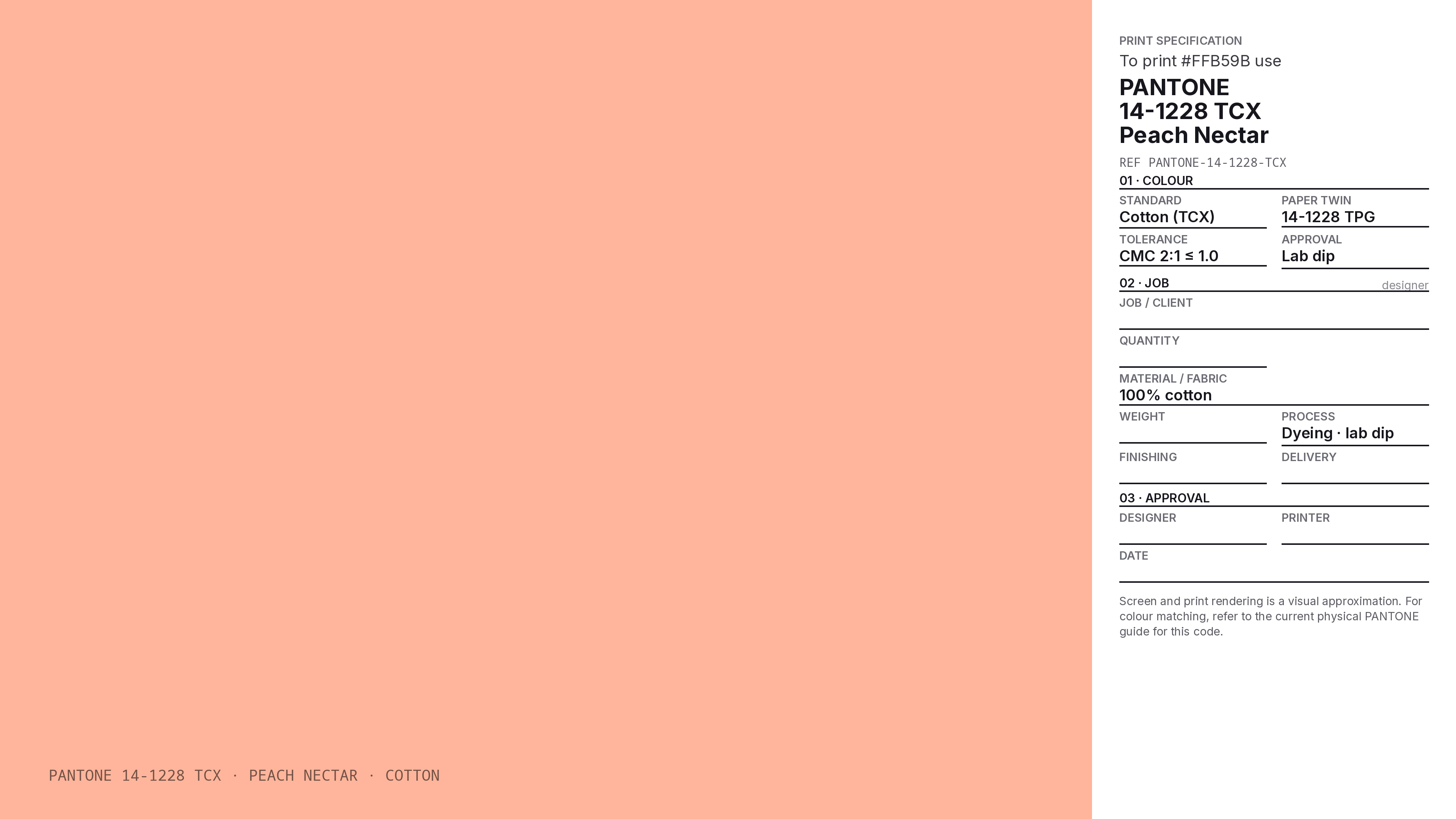 Peach Nectar Hex Code #FFB59B — RGB, CMYK & HSL Color Values