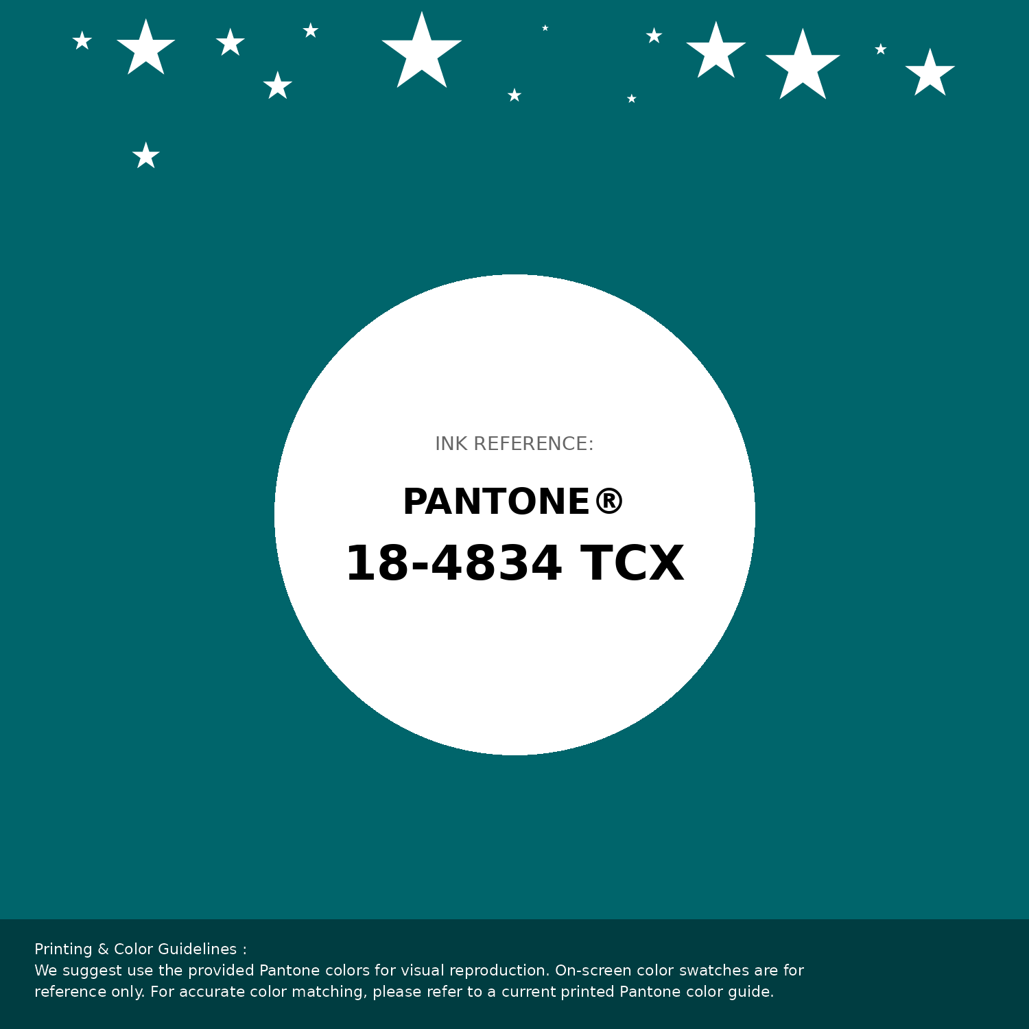 Hex Color #00656b | Printing Match PANTONE 18-4834 TCX | Color