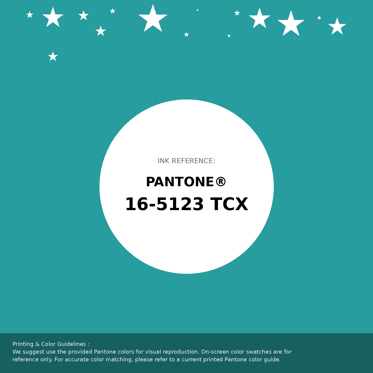 Hex Color #279d9f | Printing Match PANTONE 16-5123 TCX | Color