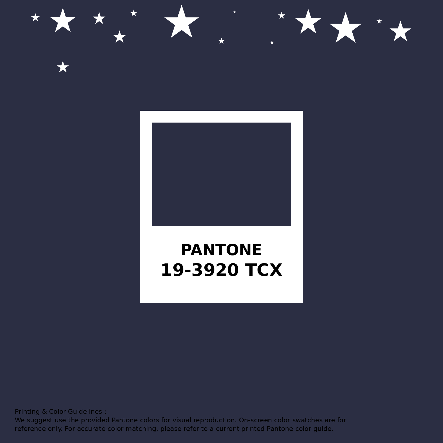t★S★t Hex Color #2b2e43 information | Hsl | Rgb | Pantone