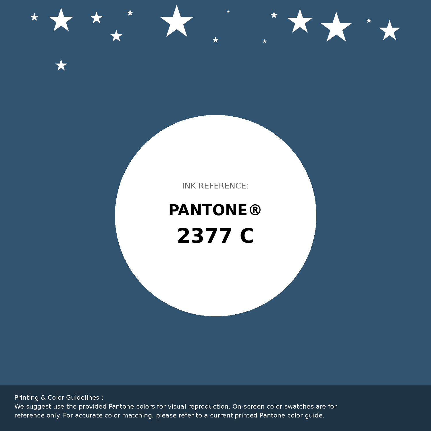 Hex Color #315470 | Printing Match PANTONE 2377 C | Color