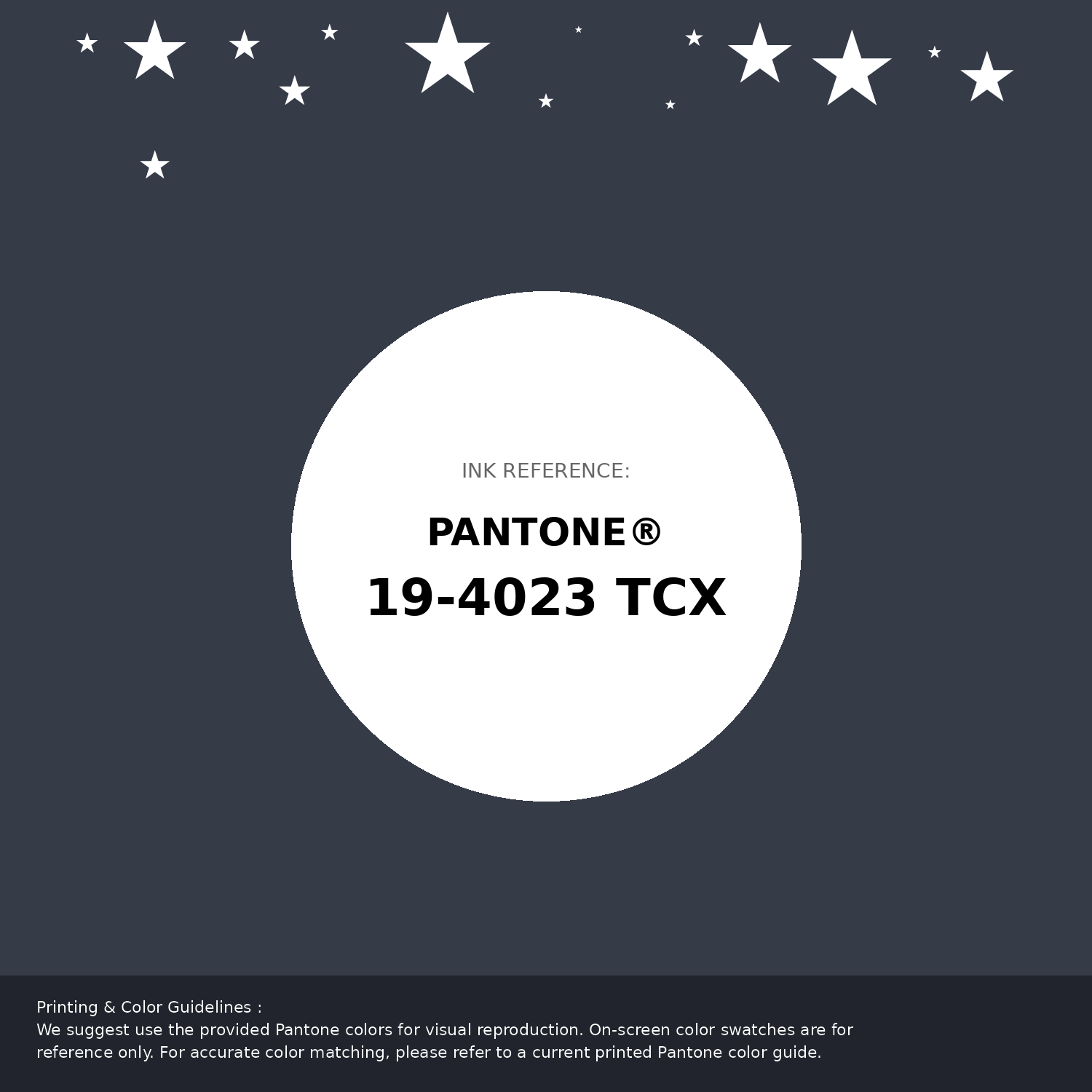 Hex Color #363b48 | Printing Match PANTONE 19-4023 TCX | Color
