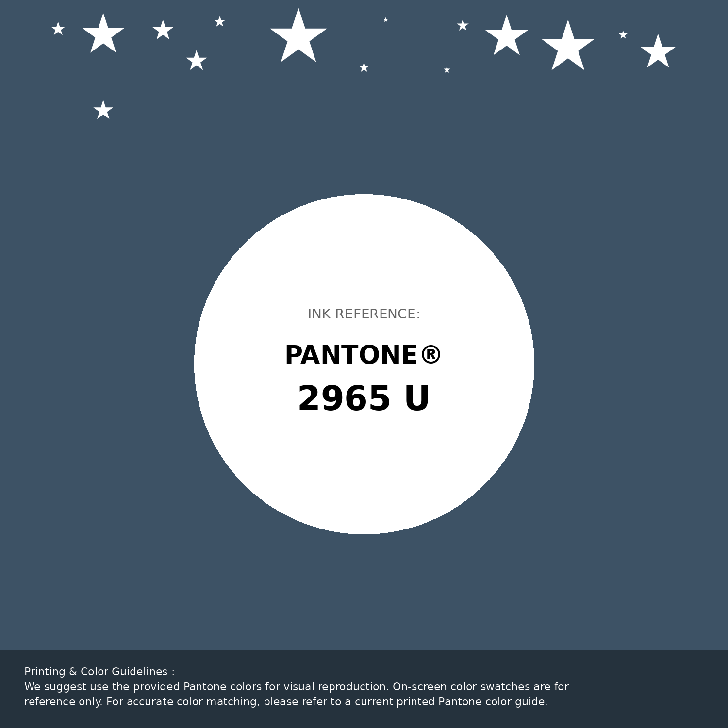 Hex Color #3d5265 | Printing Match PANTONE 2965 U | Color