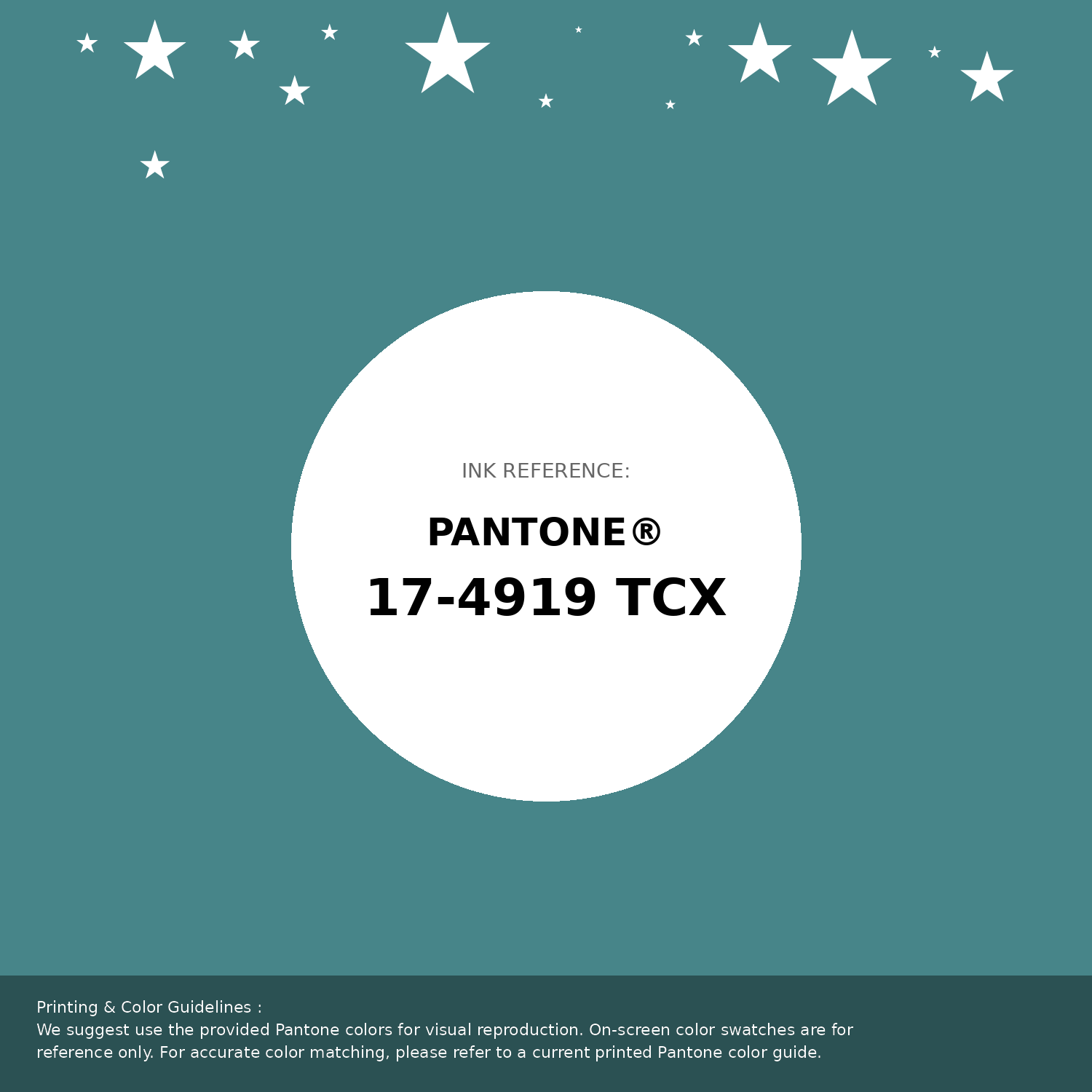 Hex Color #478589 | Printing Match PANTONE 17-4919 TCX | Color