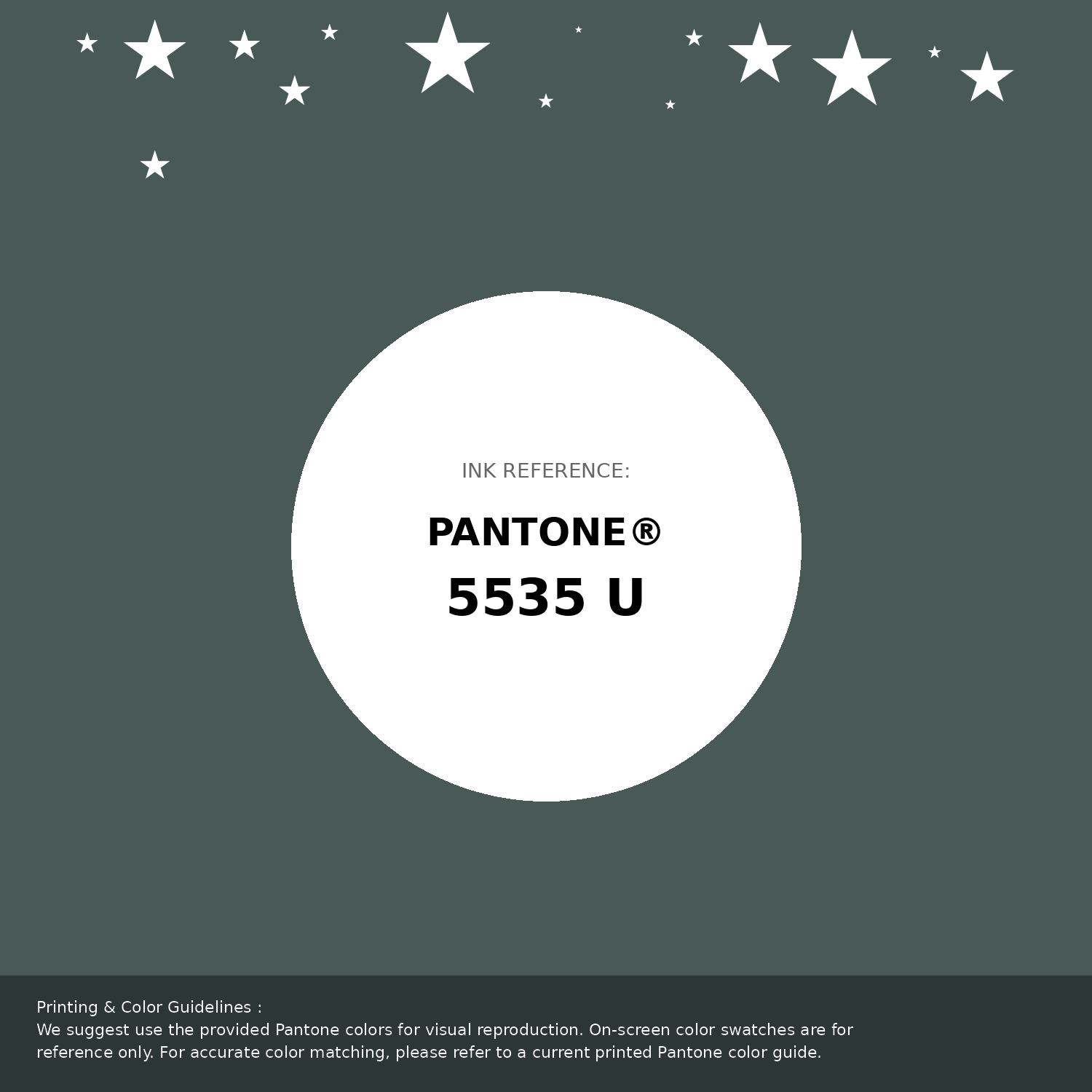Hex Color #485956 | Printing Match PANTONE 5535 U | Color